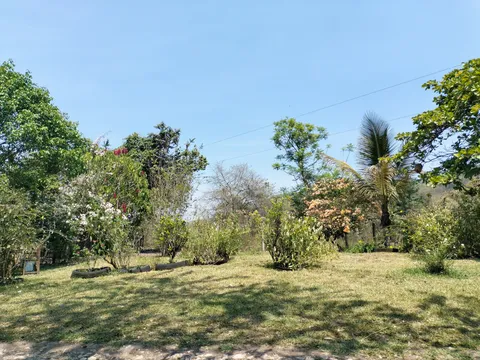 Rancho Santa Cruz. Criadero de Tilapia. image 4