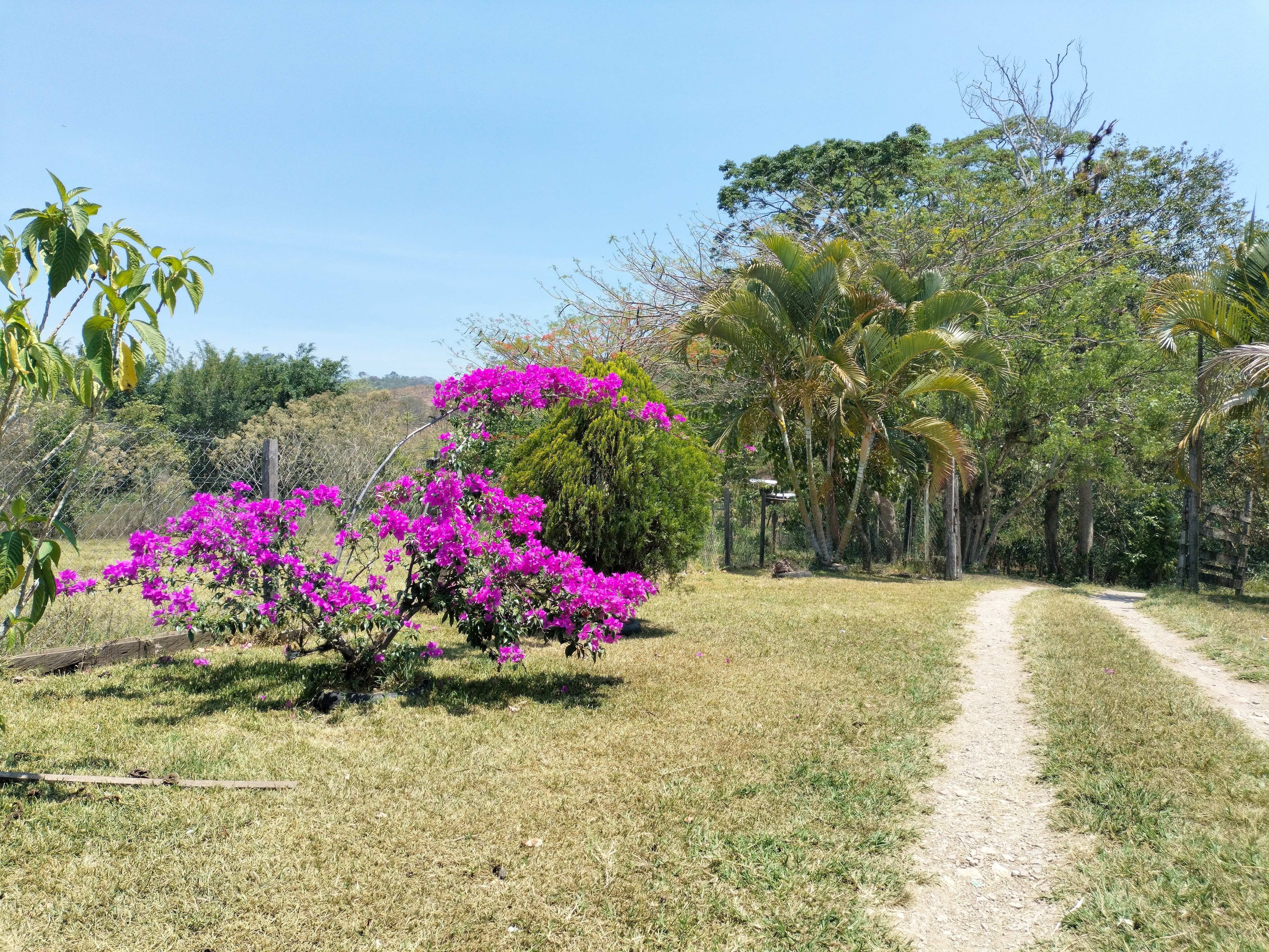 Rancho Santa Cruz. Criadero de Tilapia. image 6