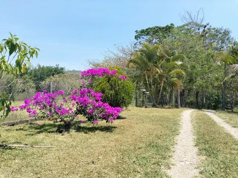 Rancho Santa Cruz. Criadero de Tilapia. image 6