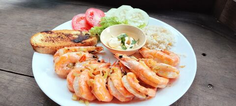 Rancho Santa Cruz. Criadero de Tilapia. image 7