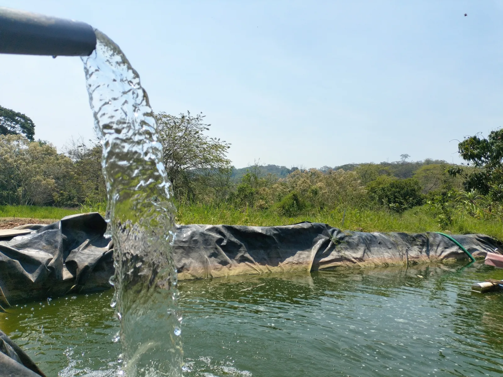 Rancho Santa Cruz. Criadero de Tilapia. image 8
