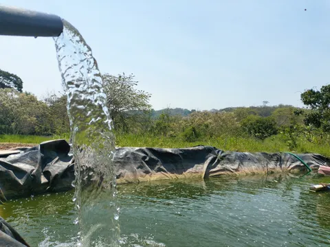 Rancho Santa Cruz. Criadero de Tilapia. image 8