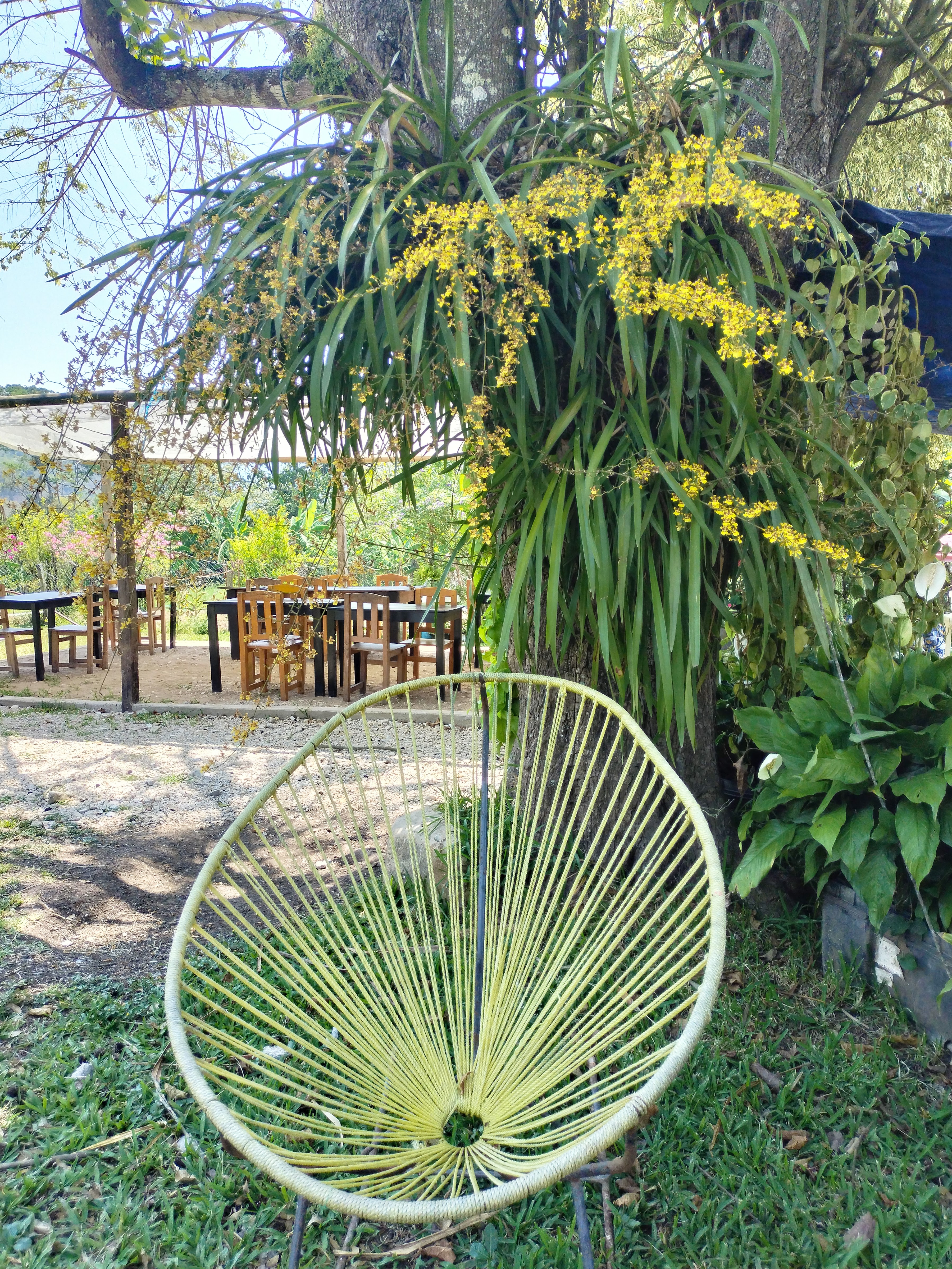 Rancho Santa Cruz. Criadero de Tilapia. image 10