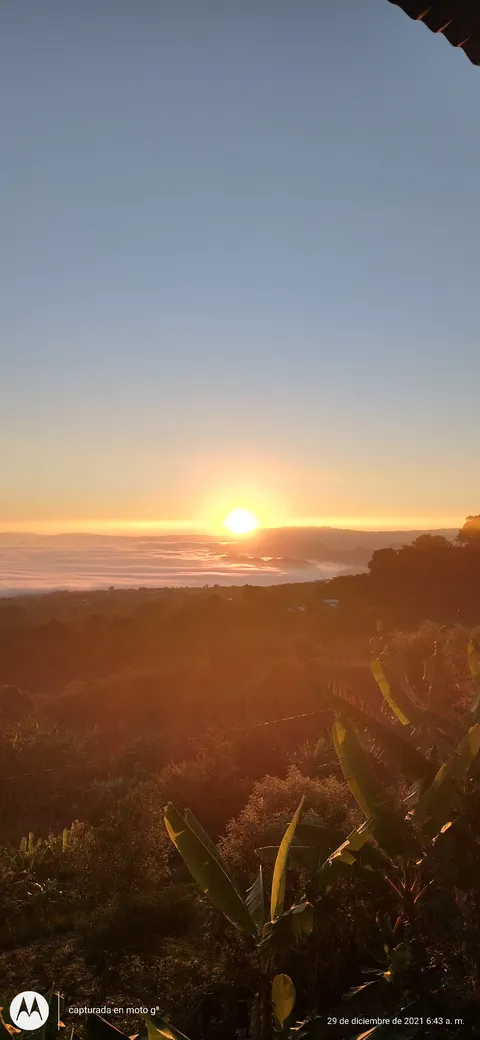 Mirador image 1