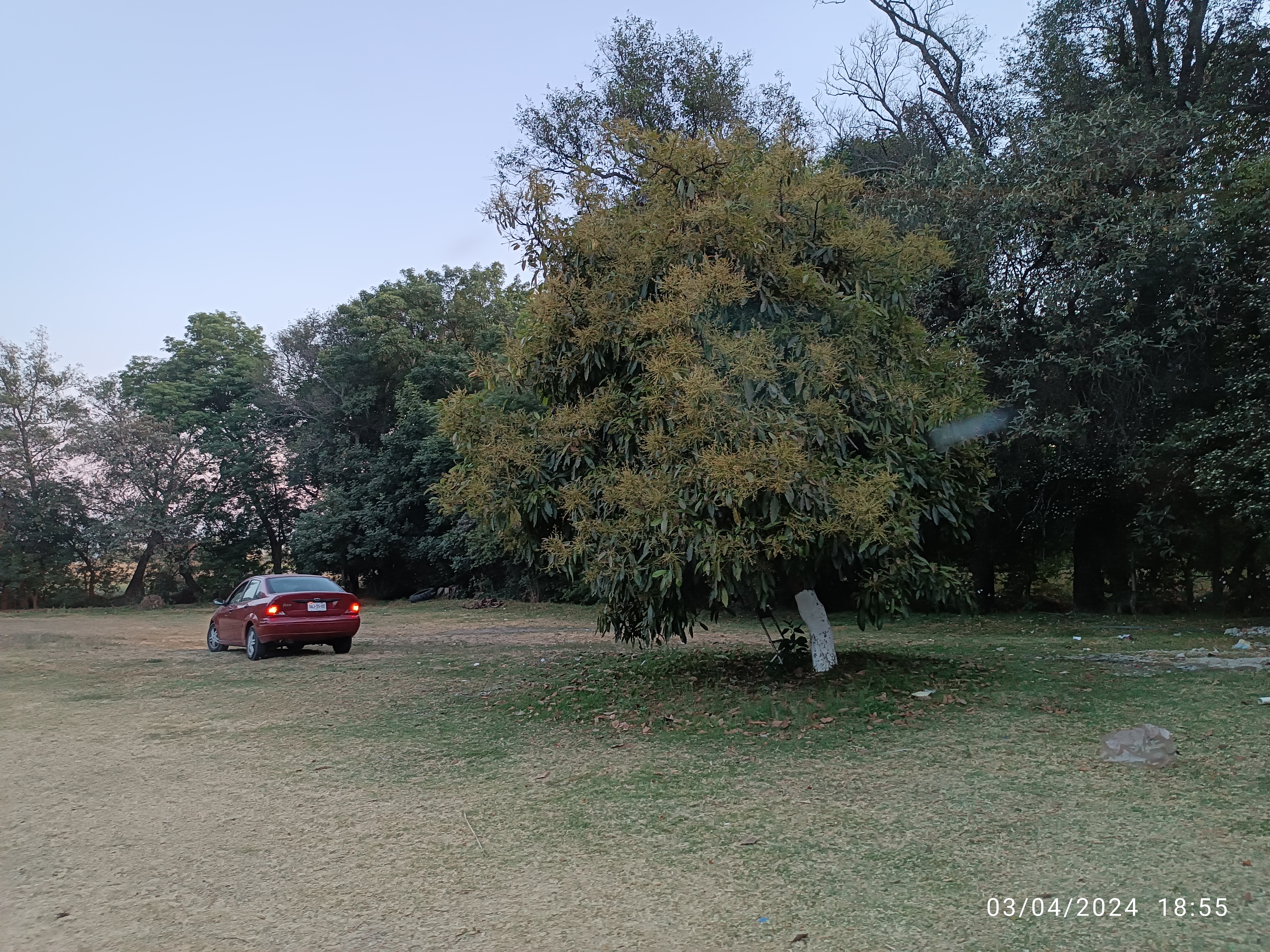 El Salto Del Salmon image 7