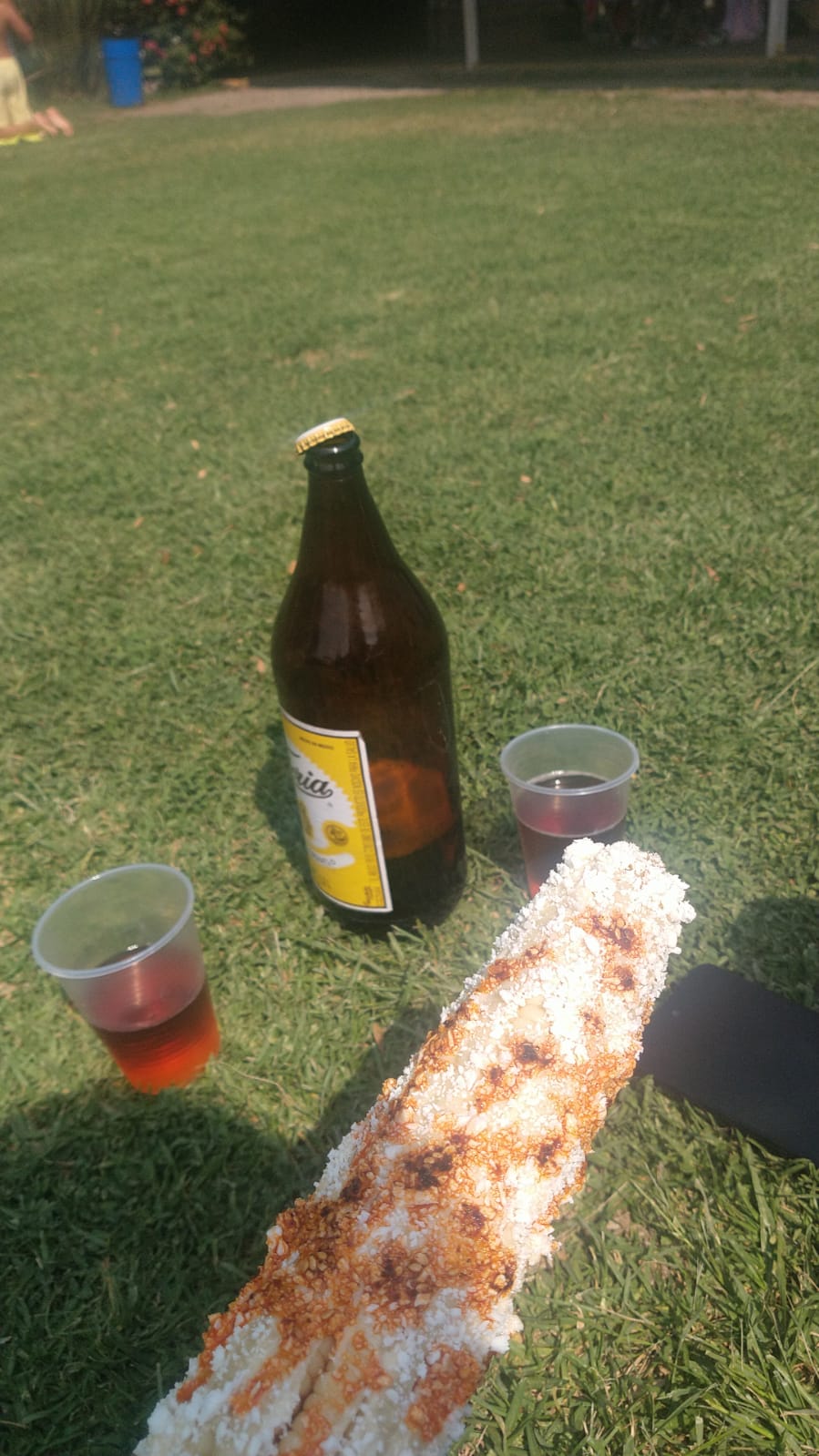 El Salto Del Salmon image 8