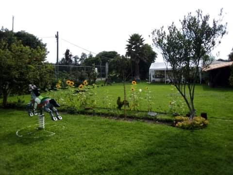 Real Victoria image 6