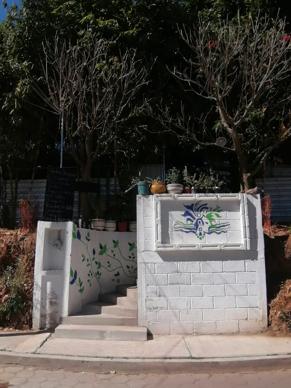 Restaurante Chiapas image 7