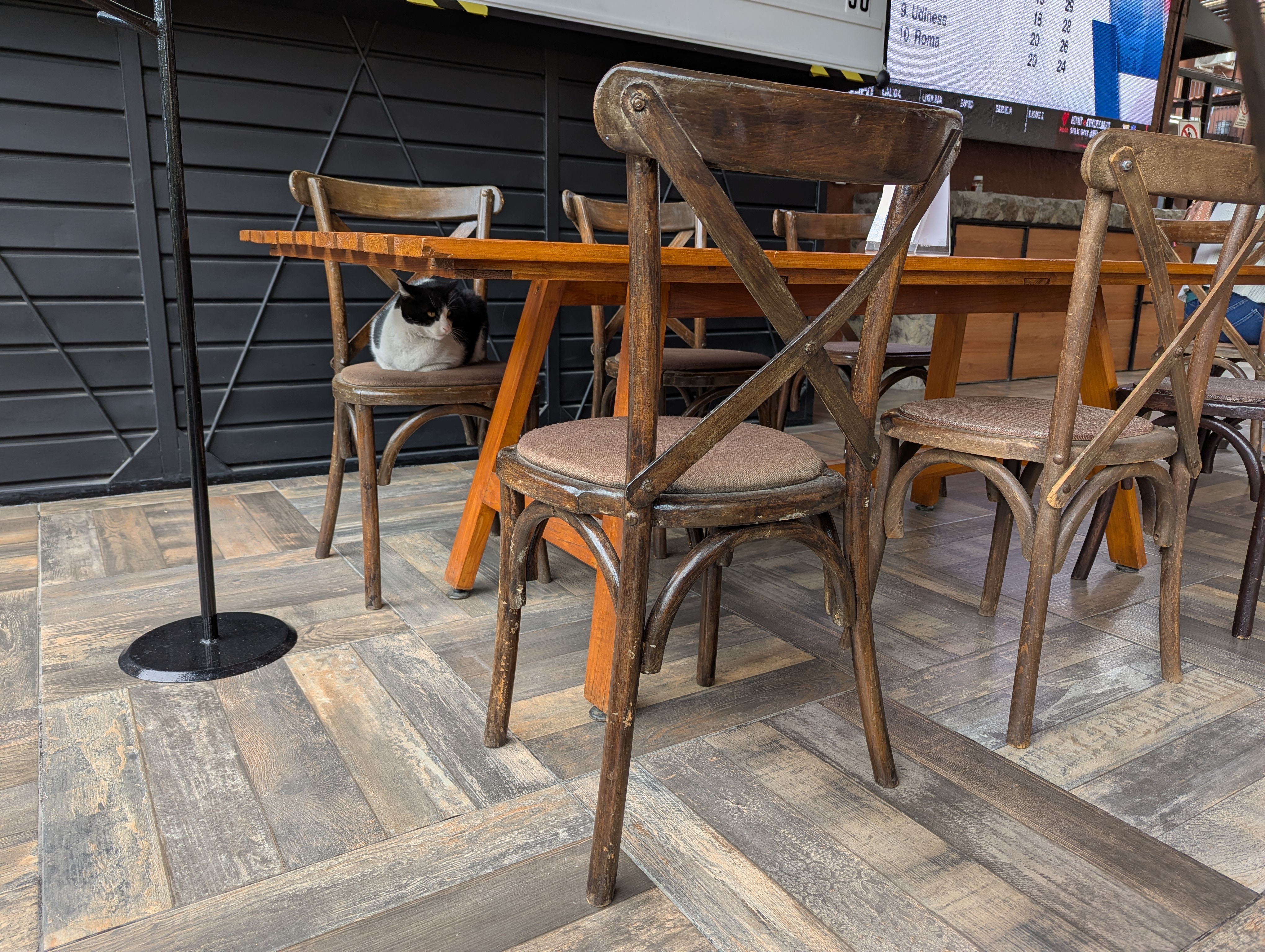 Finca Ensamble image 2