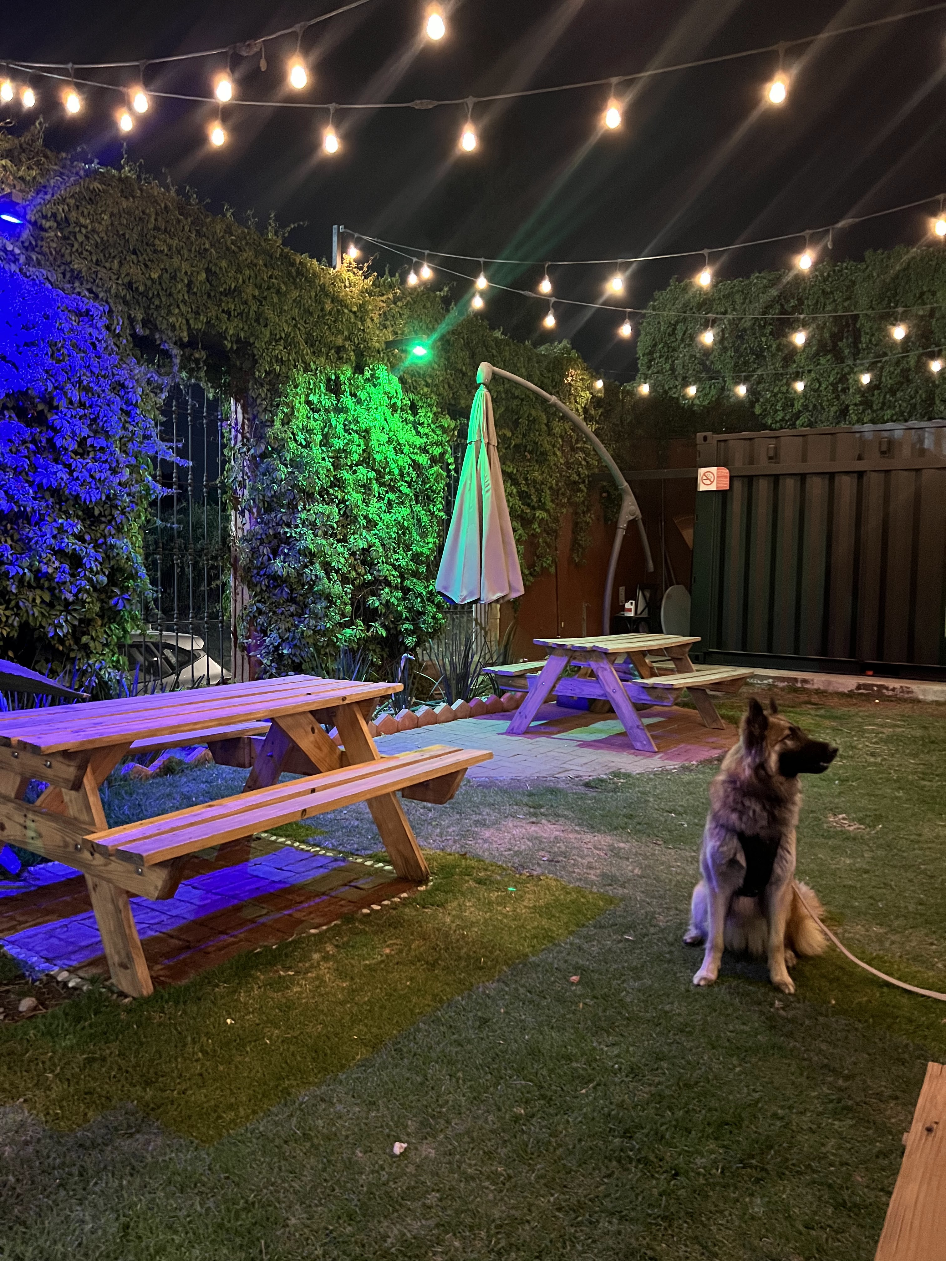 Finca Ensamble image 6