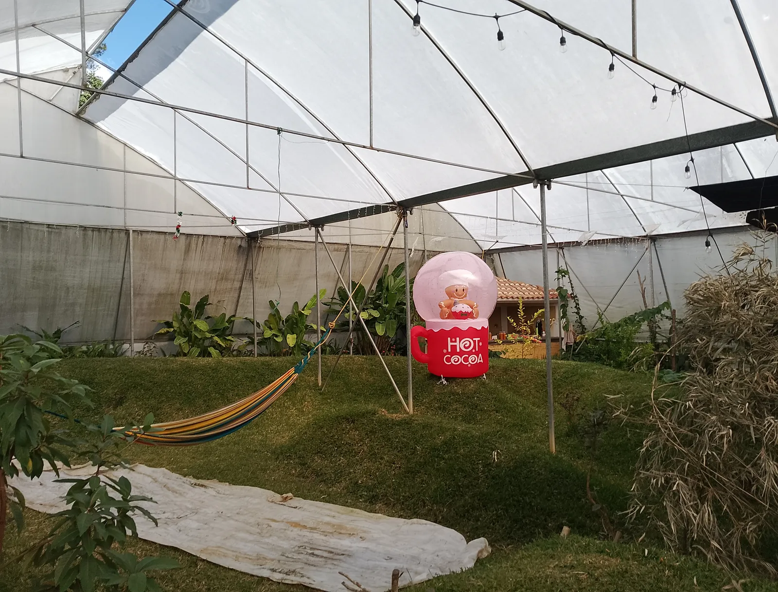 Centro Ecoturistico Na'Mut image 7