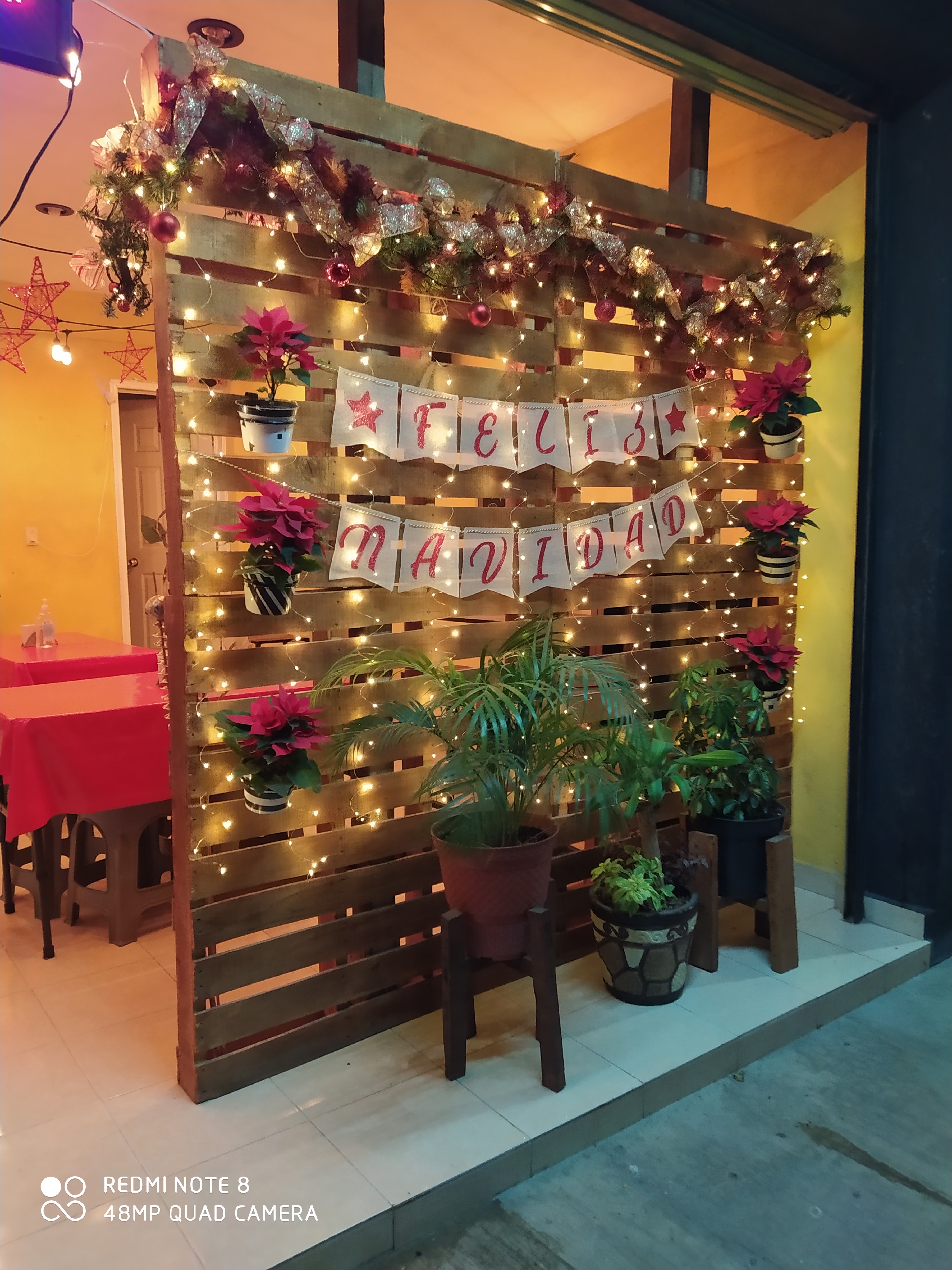 Taquería La Capilla image 5