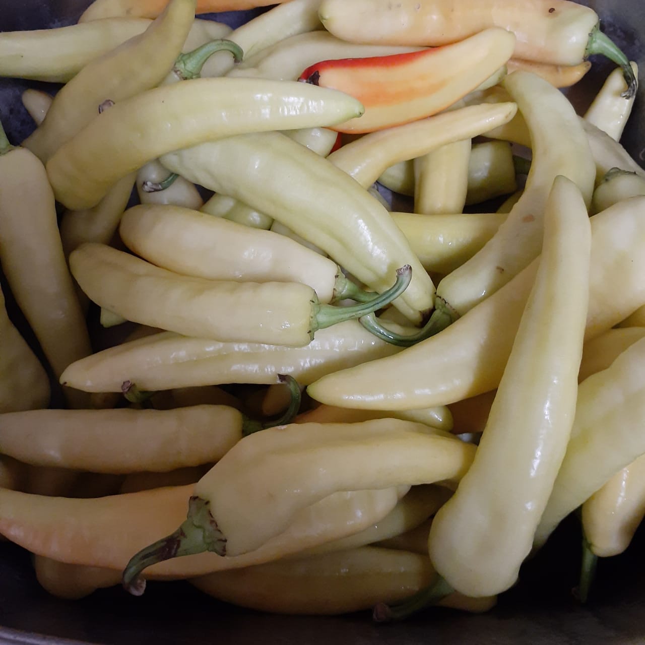 Restaurante Buffet SAYOS image 8