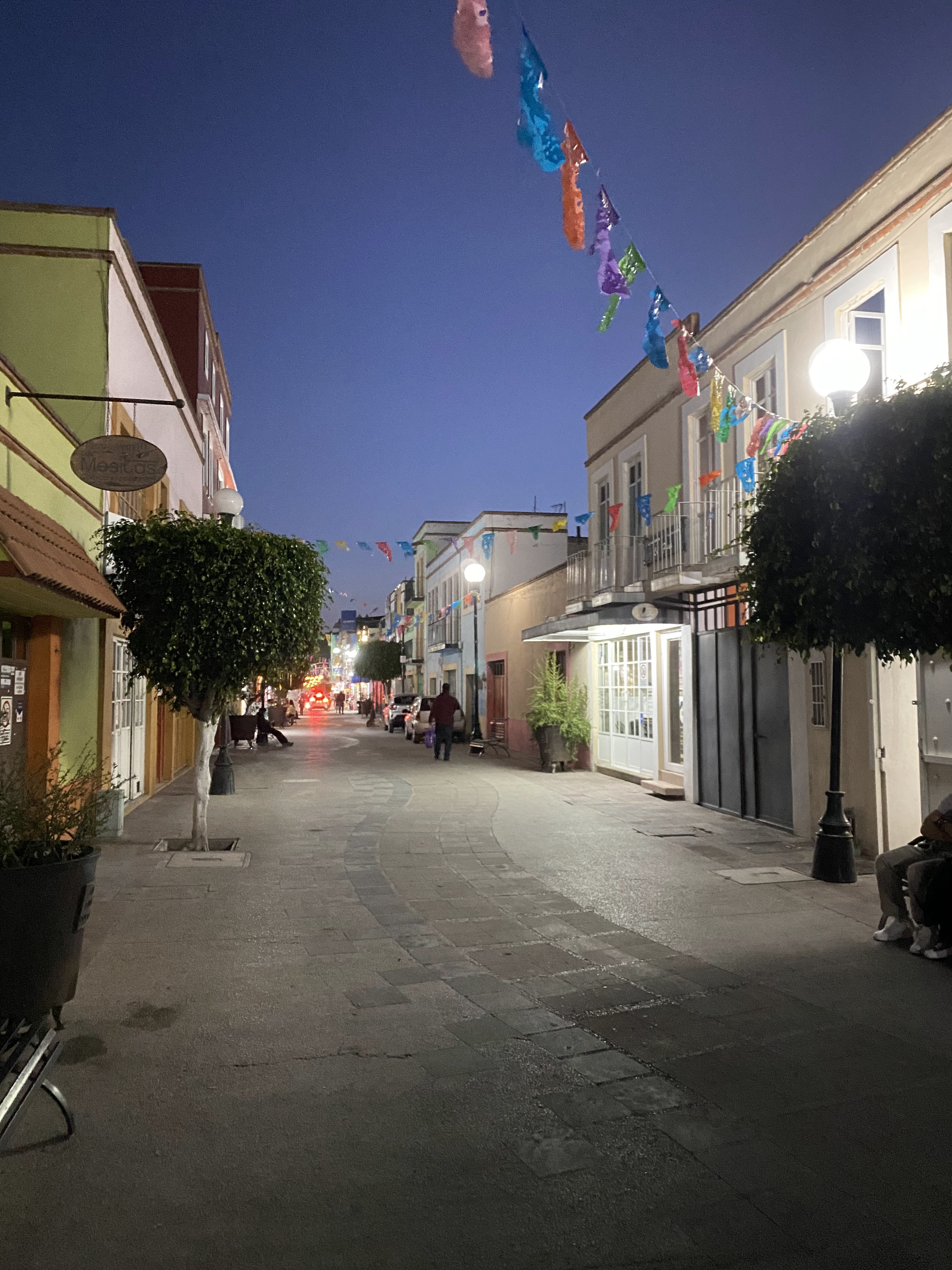 Restaurante Las Mesitas Comida Artesanal image 6