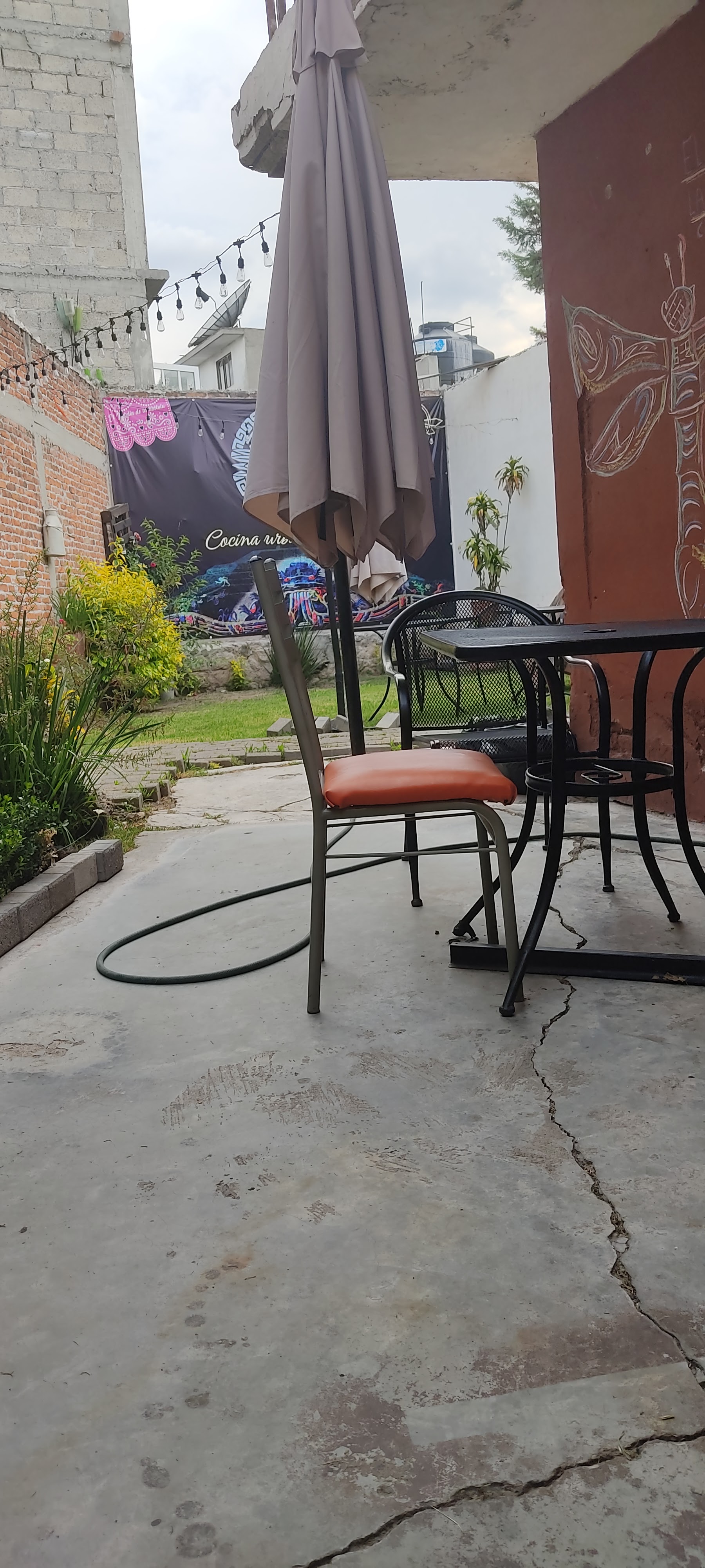 La luciernaga restaurant cafe bar image 6