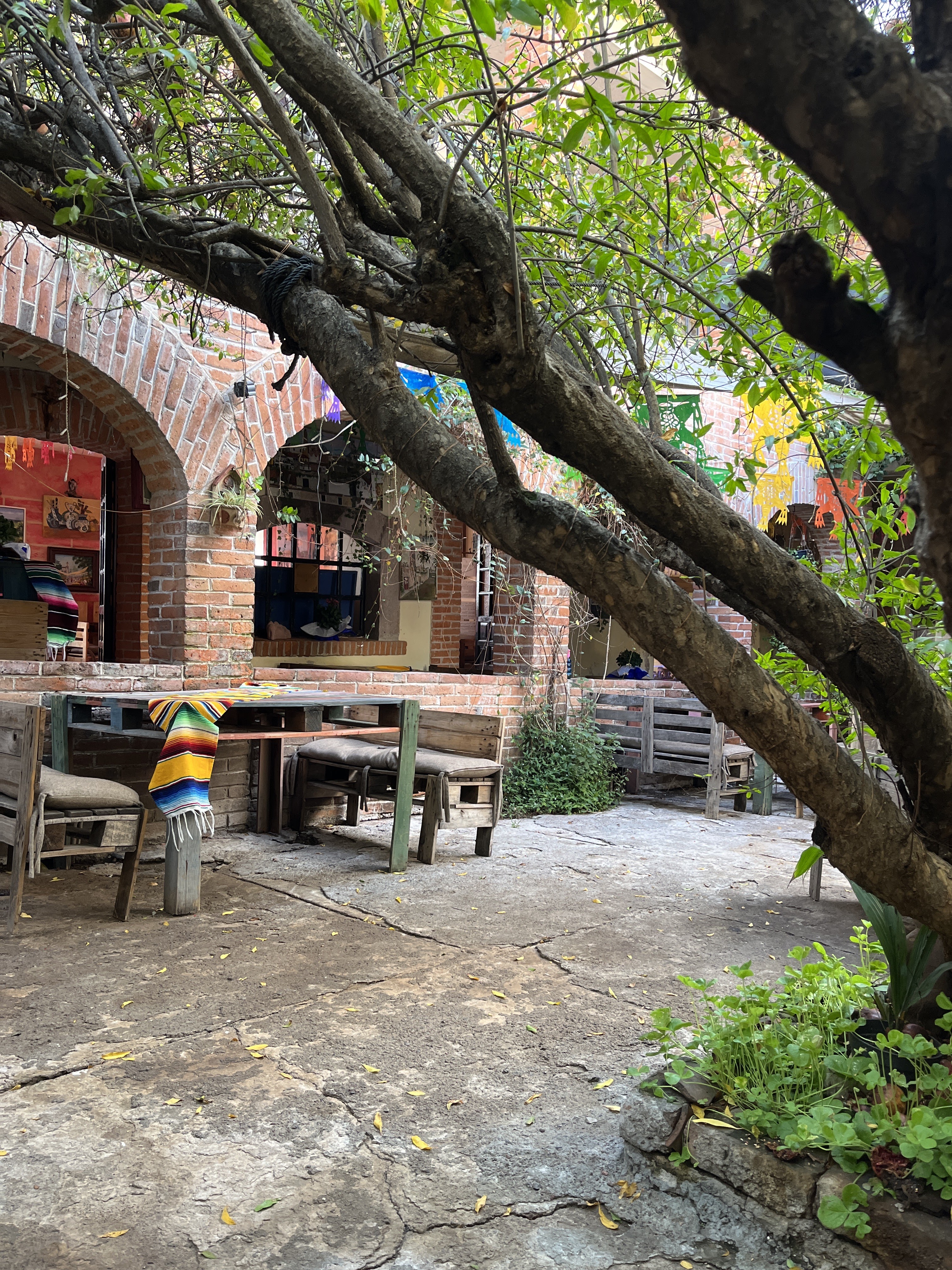 Restaurant Casa Mextizaje image 7