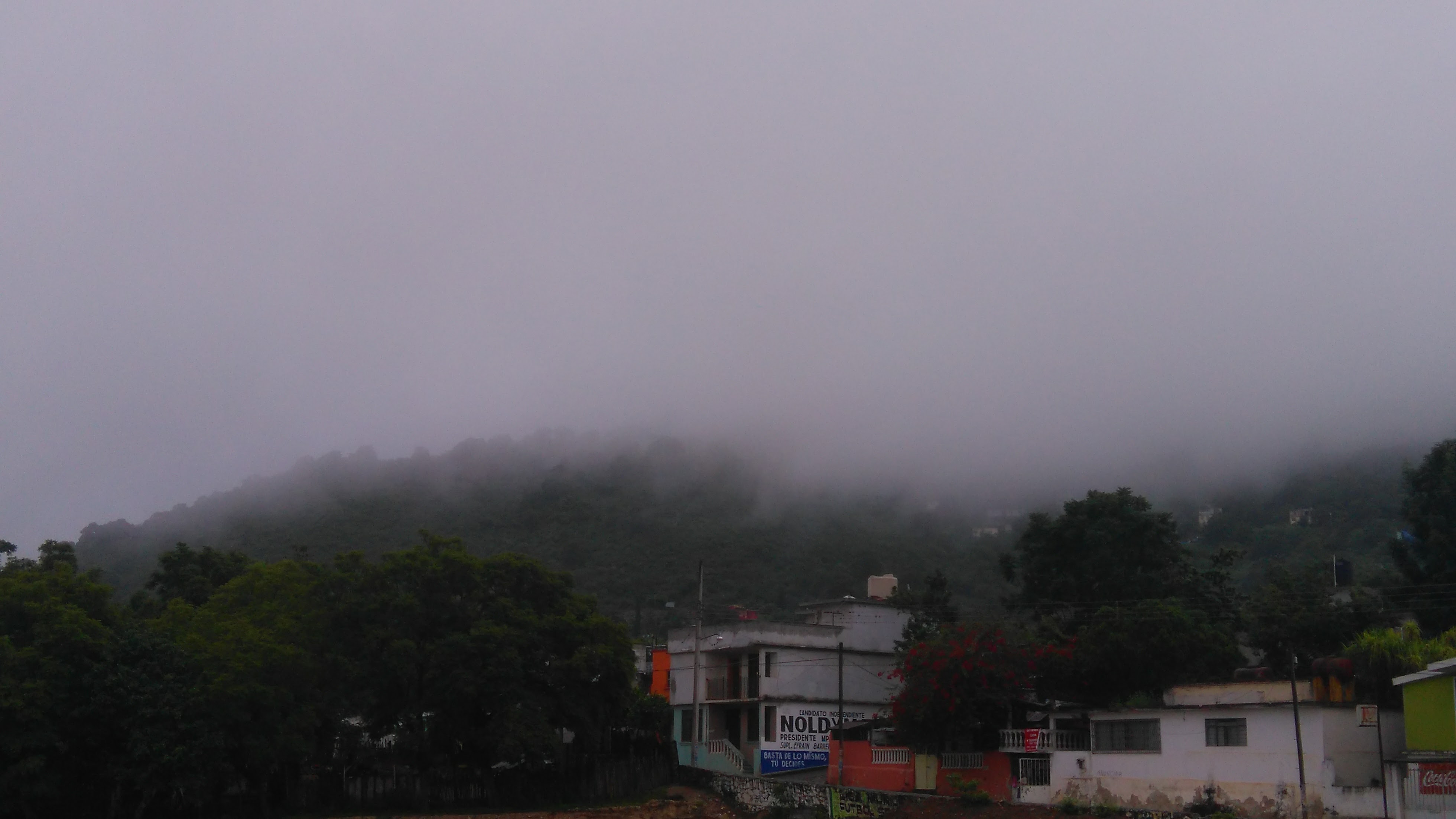 COMEDOR MELA image 4