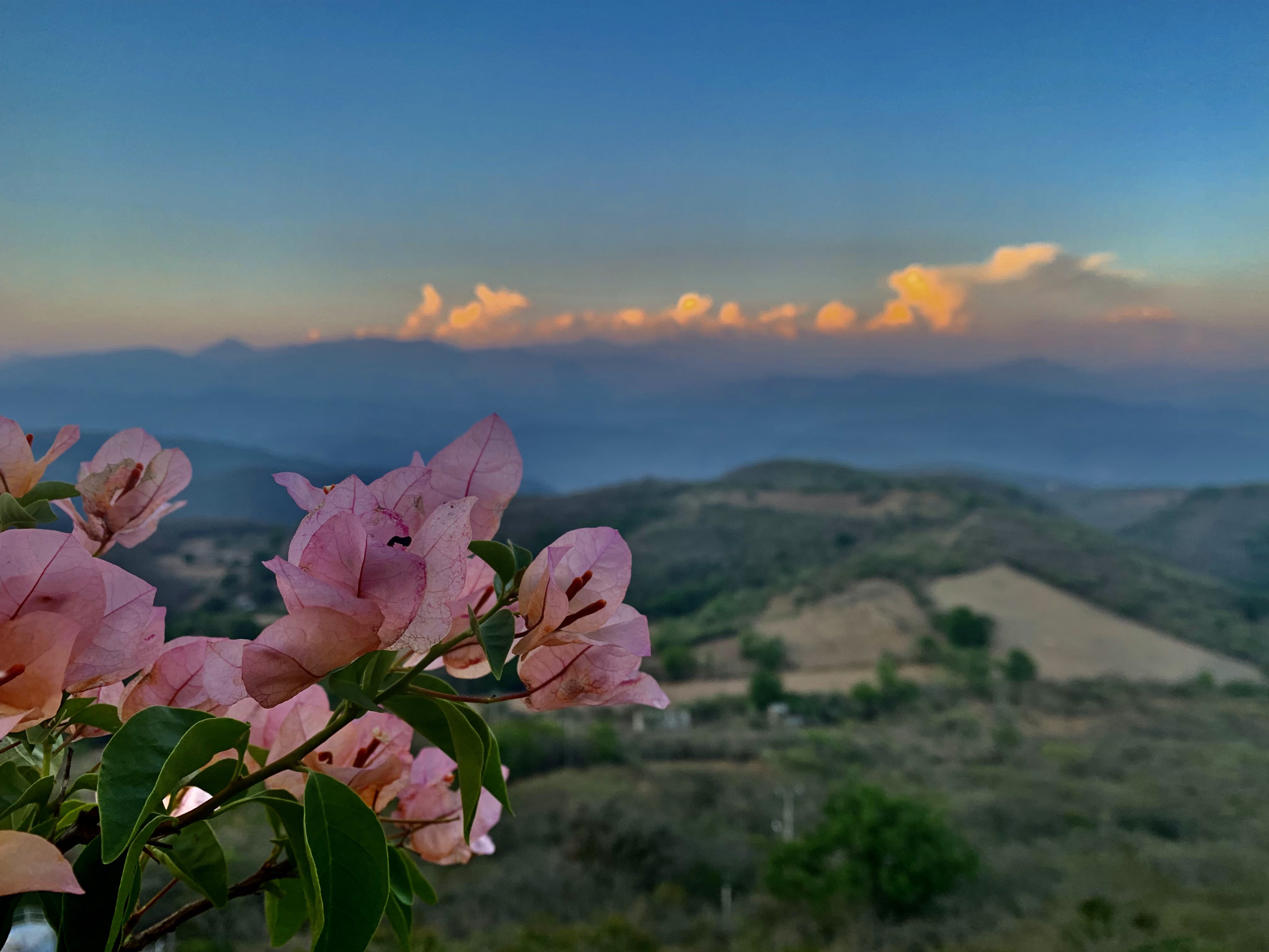 Restaurante El Naranjito Mariscos y algo más image 6