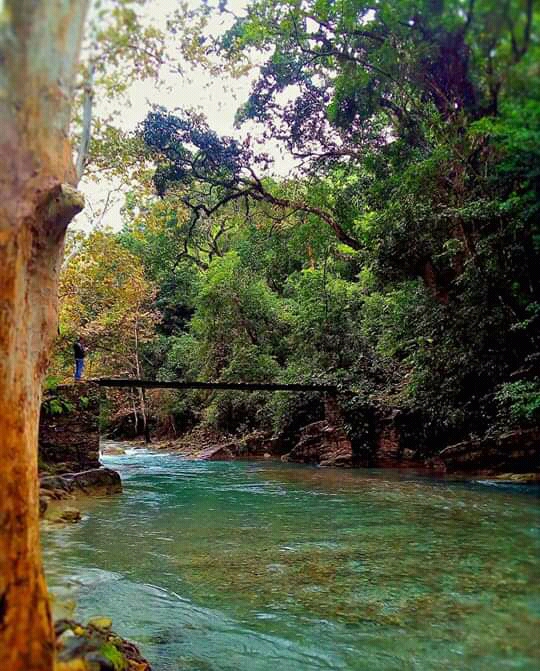 Arroyo Blanco Bar-Restaurante image 7