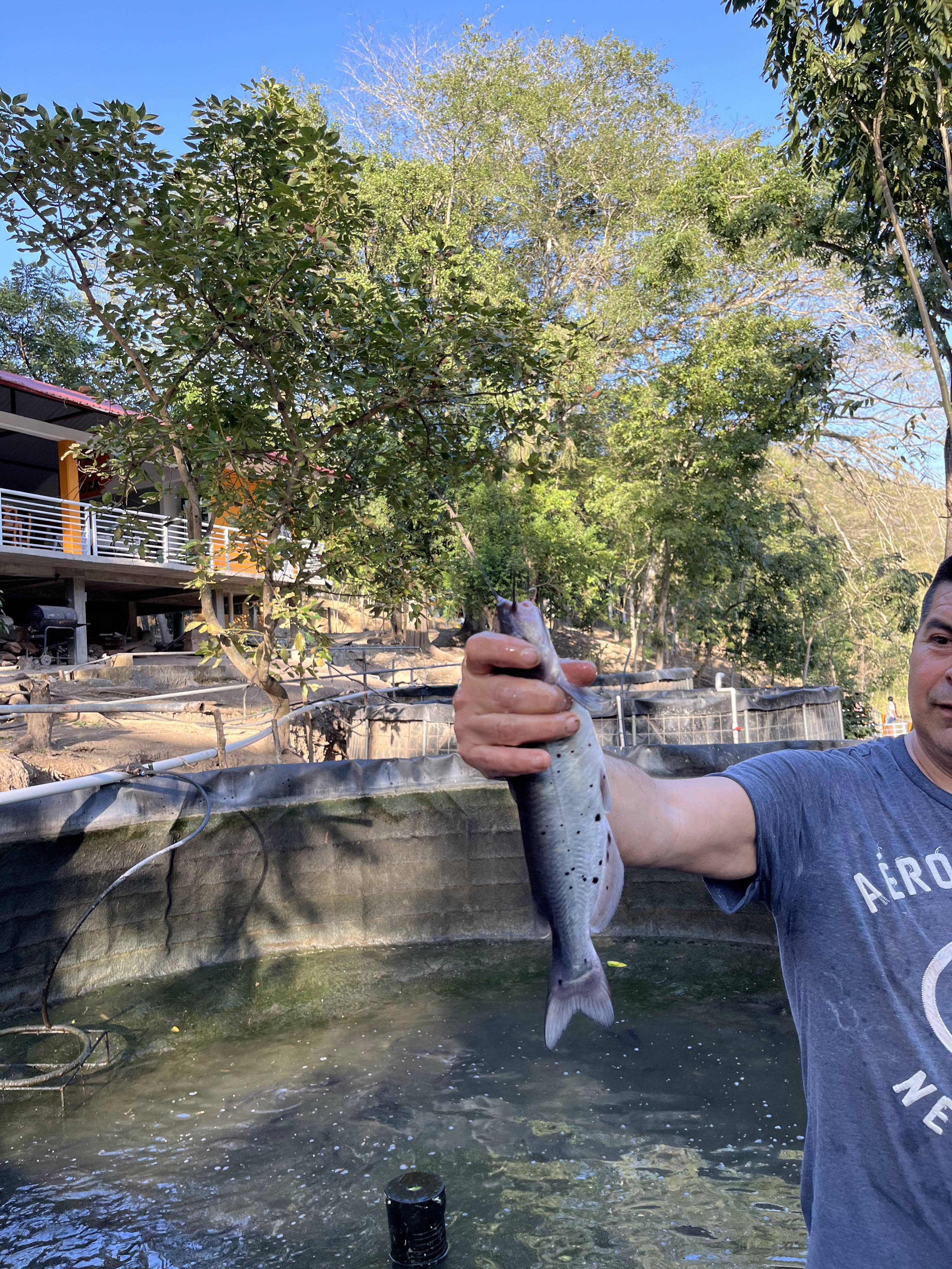 Restaurant La Poza image 7