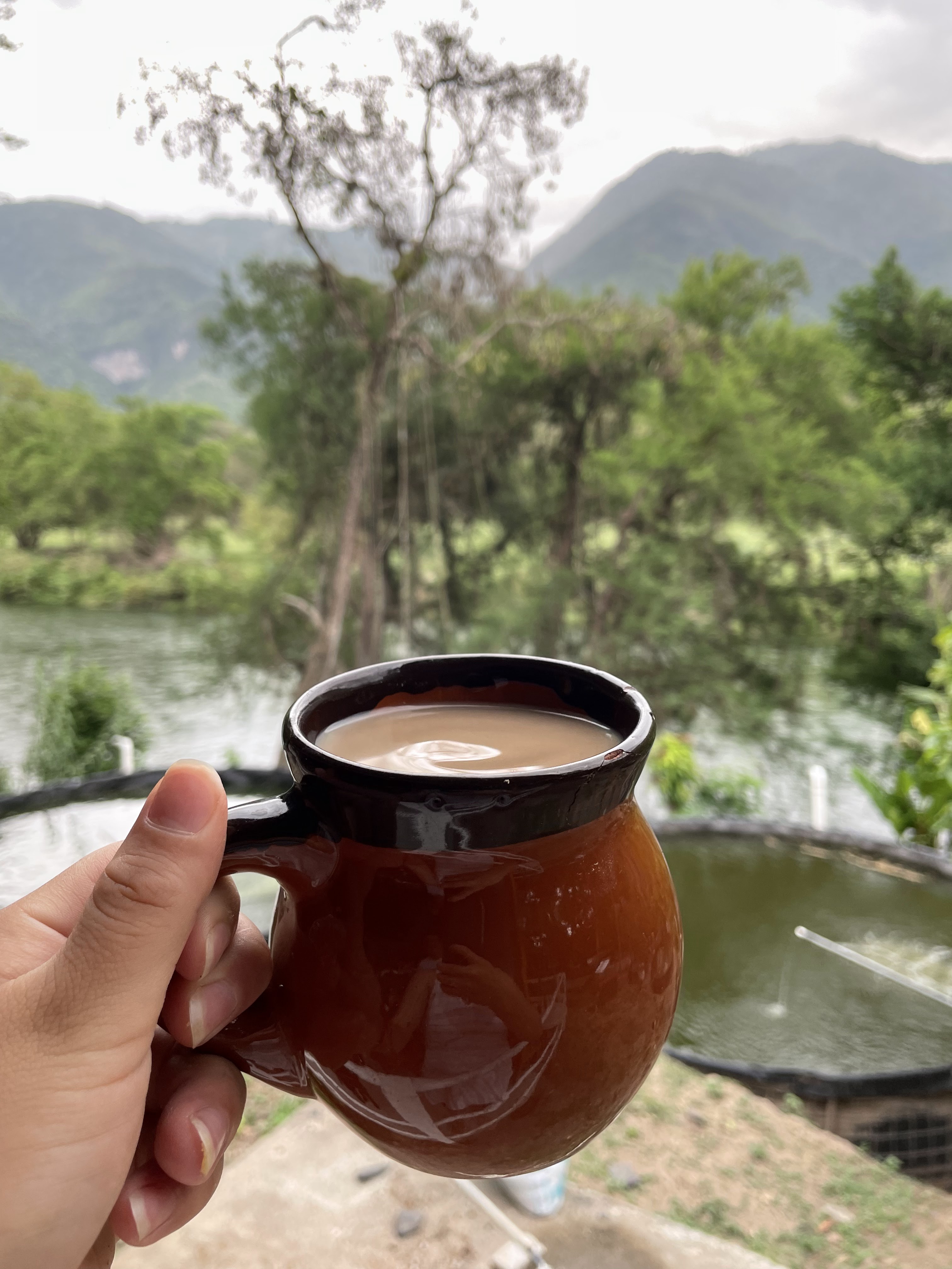 Restaurant La Poza image 8