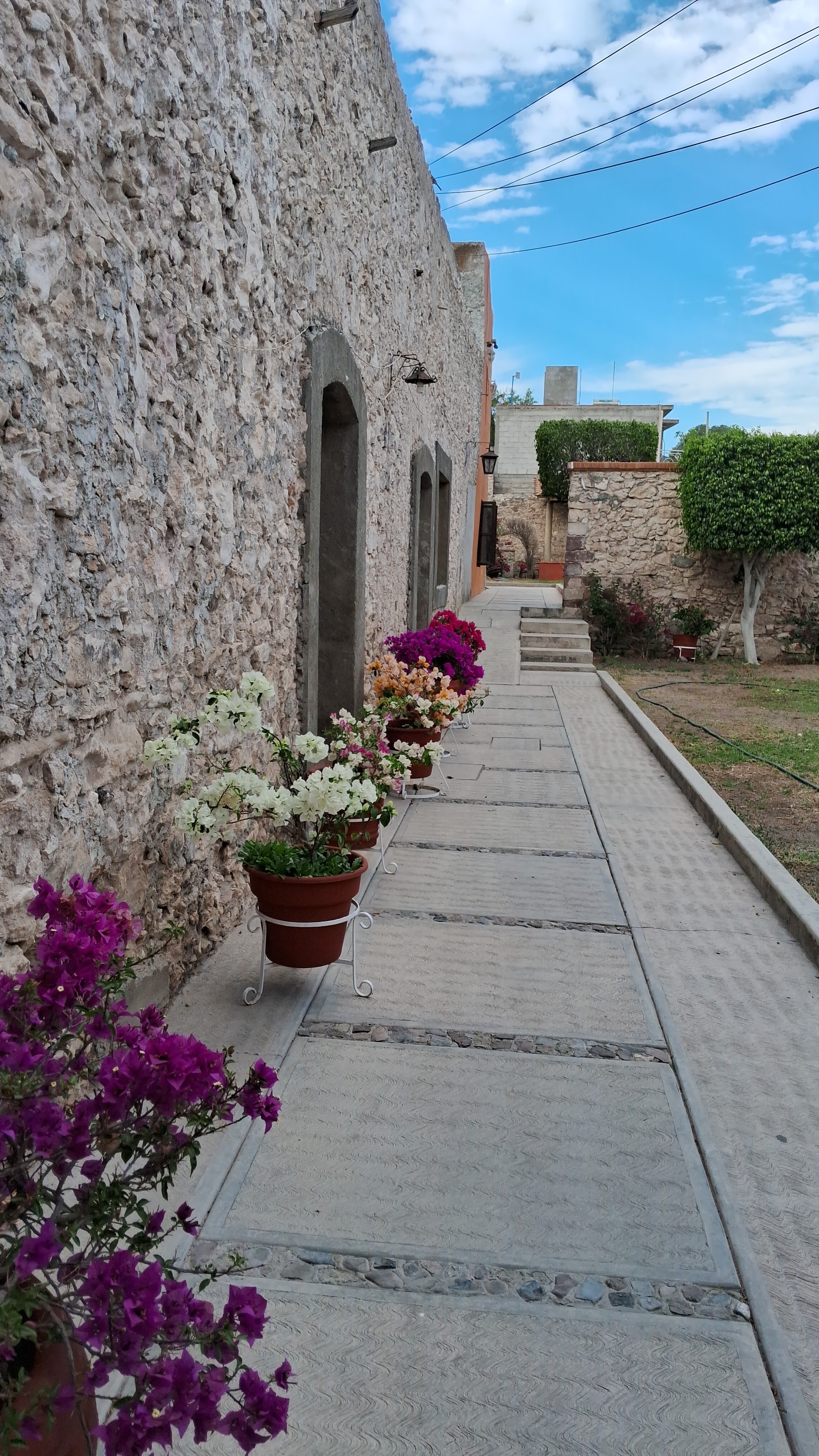 Restaurant Los Arcos image 5