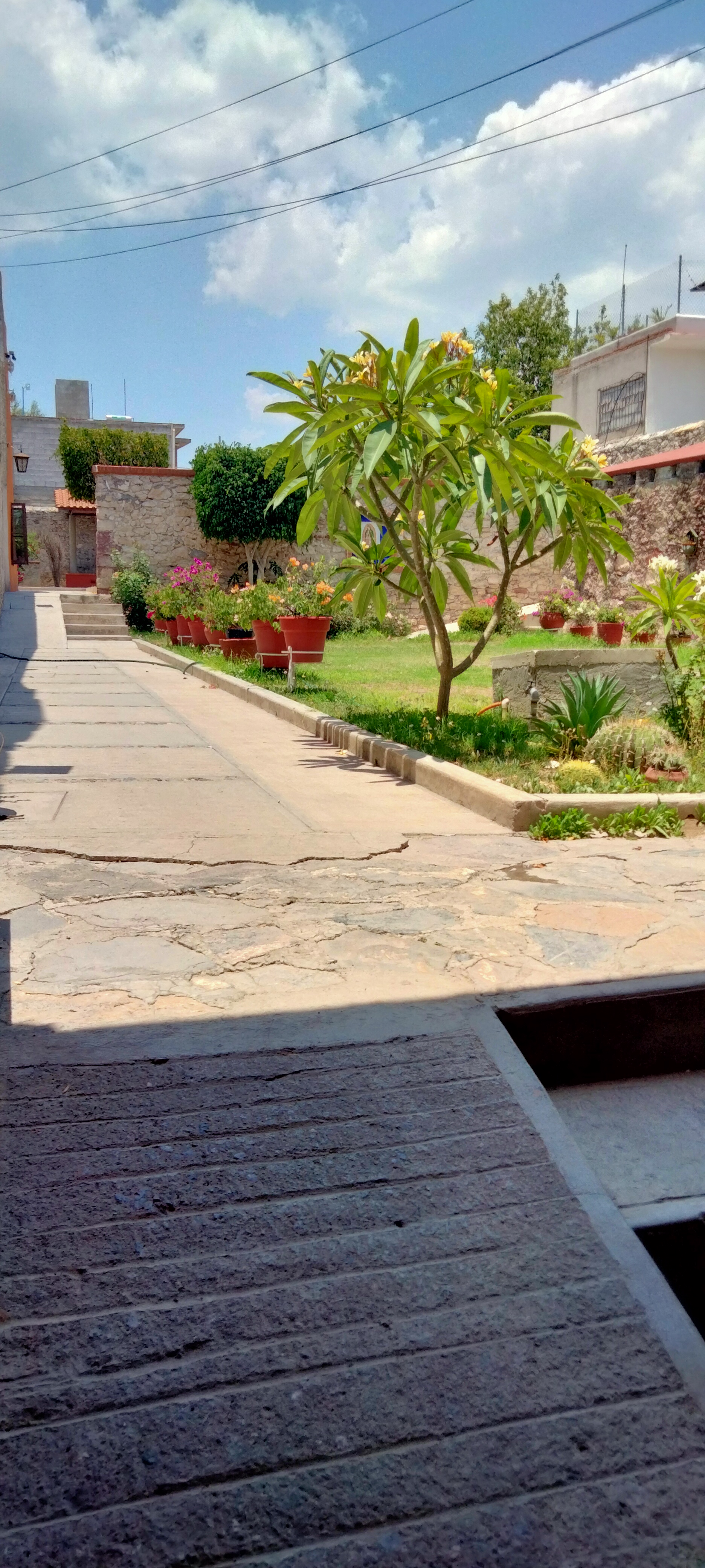 Restaurant Los Arcos image 10