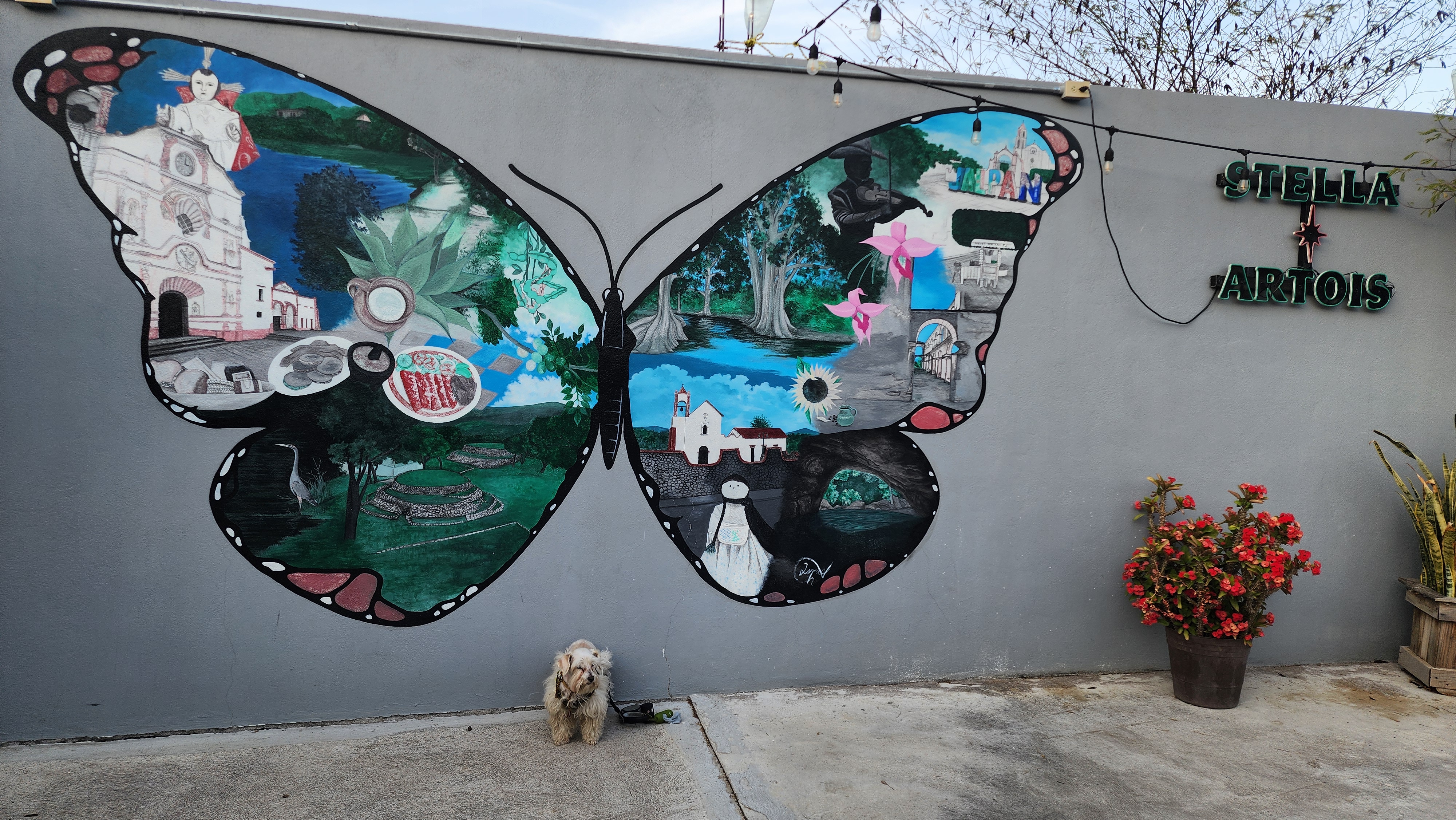 La Casita de Alex image 7