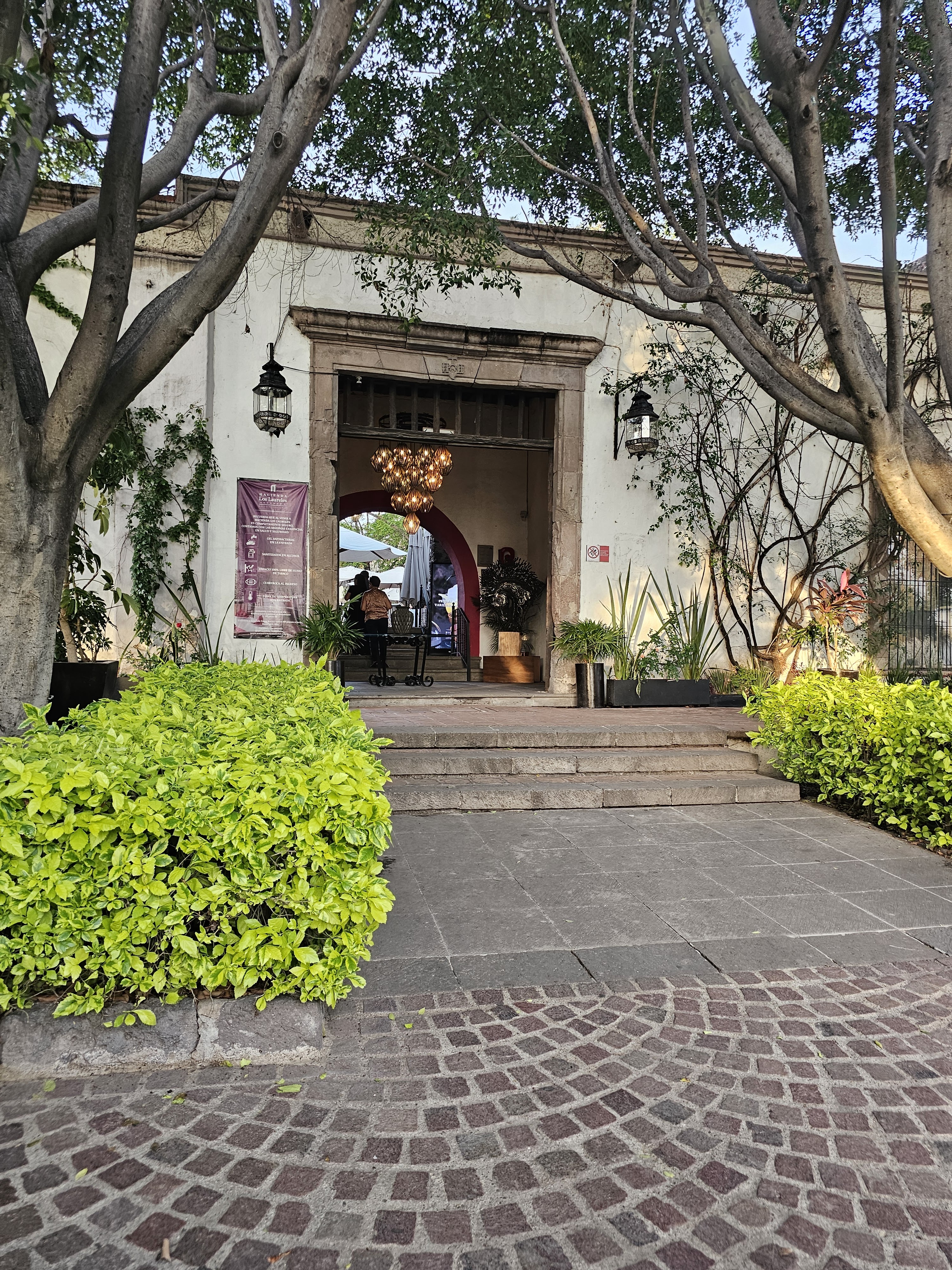 Hacienda los Laureles image 5