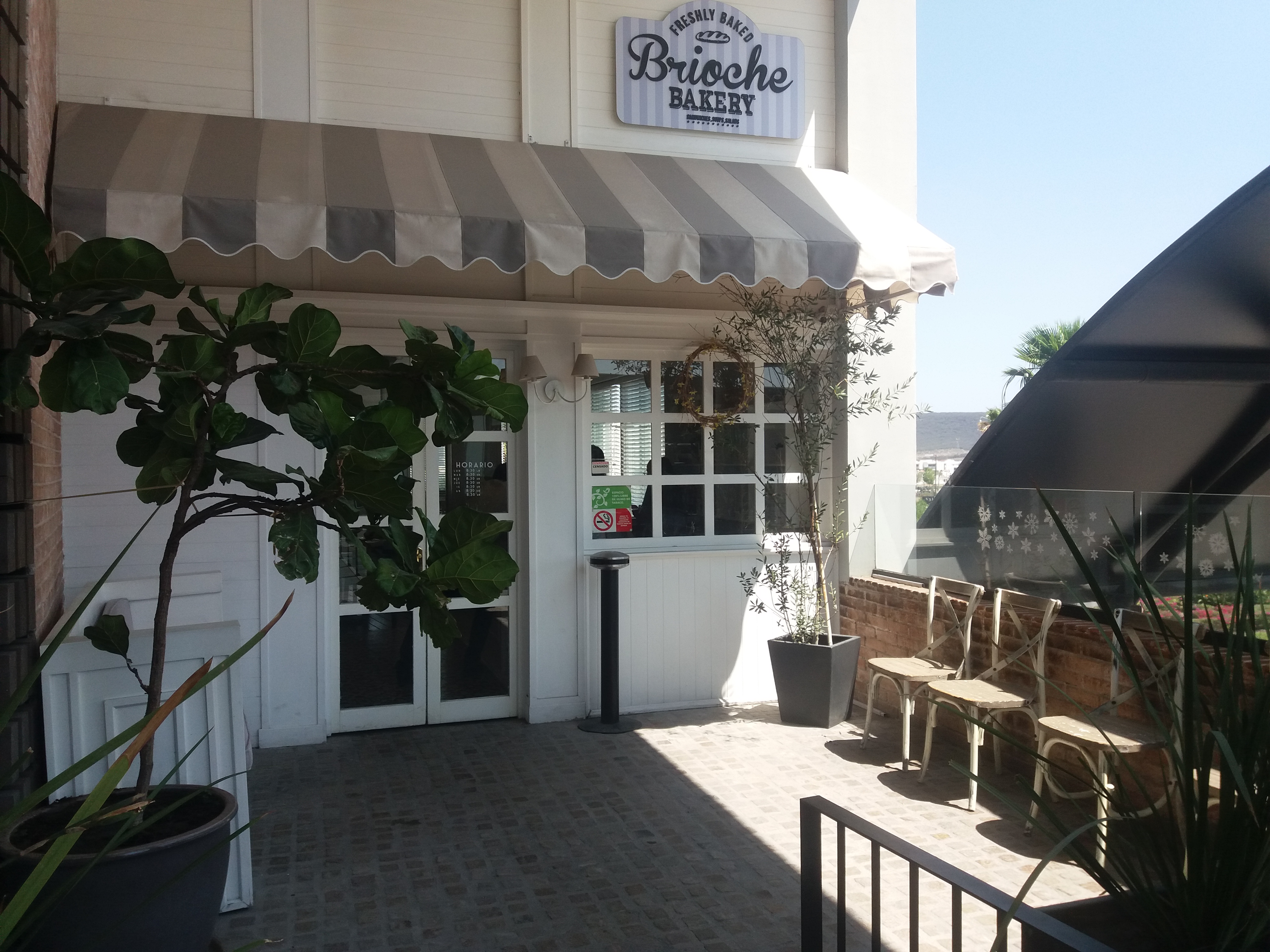 Brioche Bakery image 4