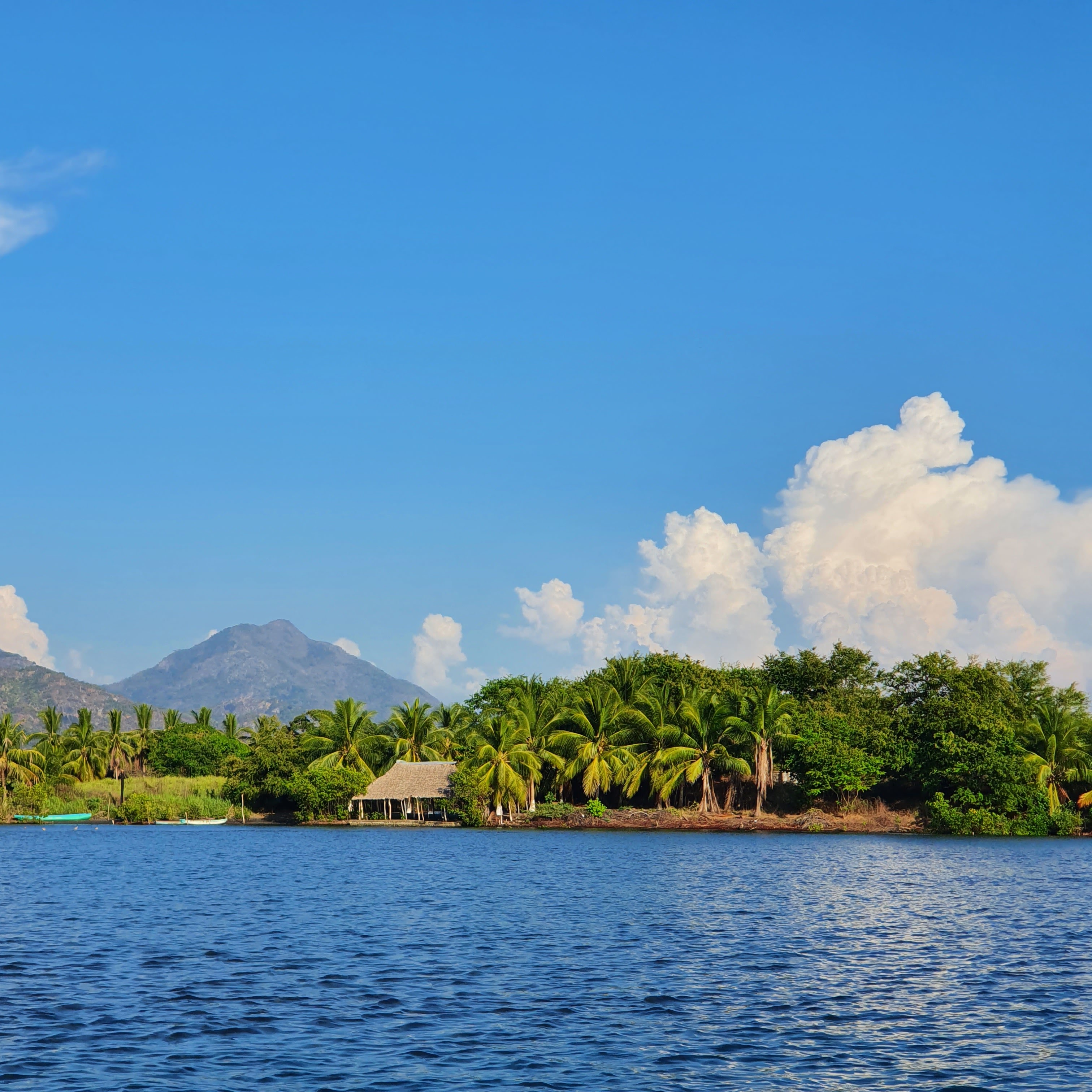 Restaurante Michel (Hijo Del Pipiripau) image 4
