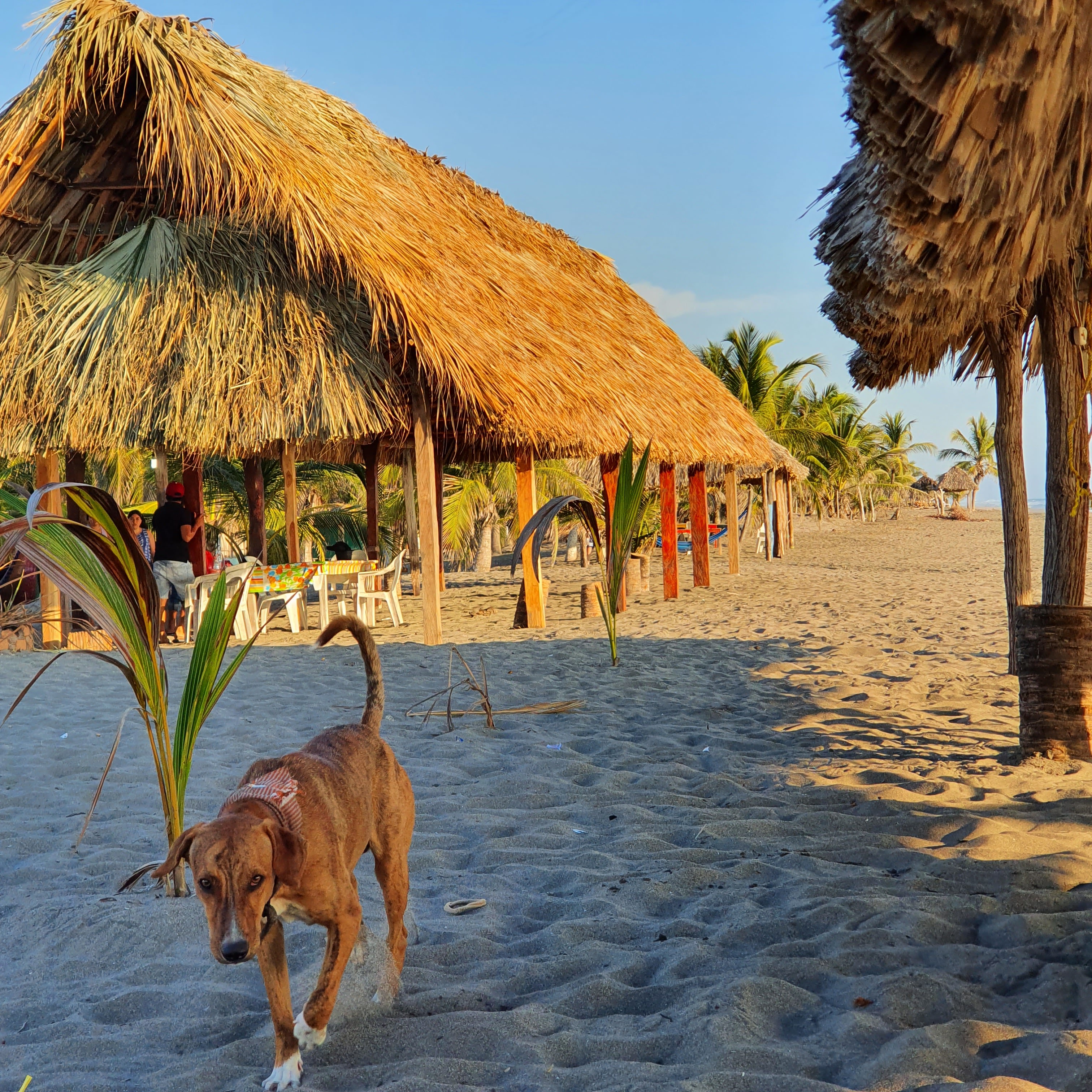 Restaurante Michel (Hijo Del Pipiripau) image 8
