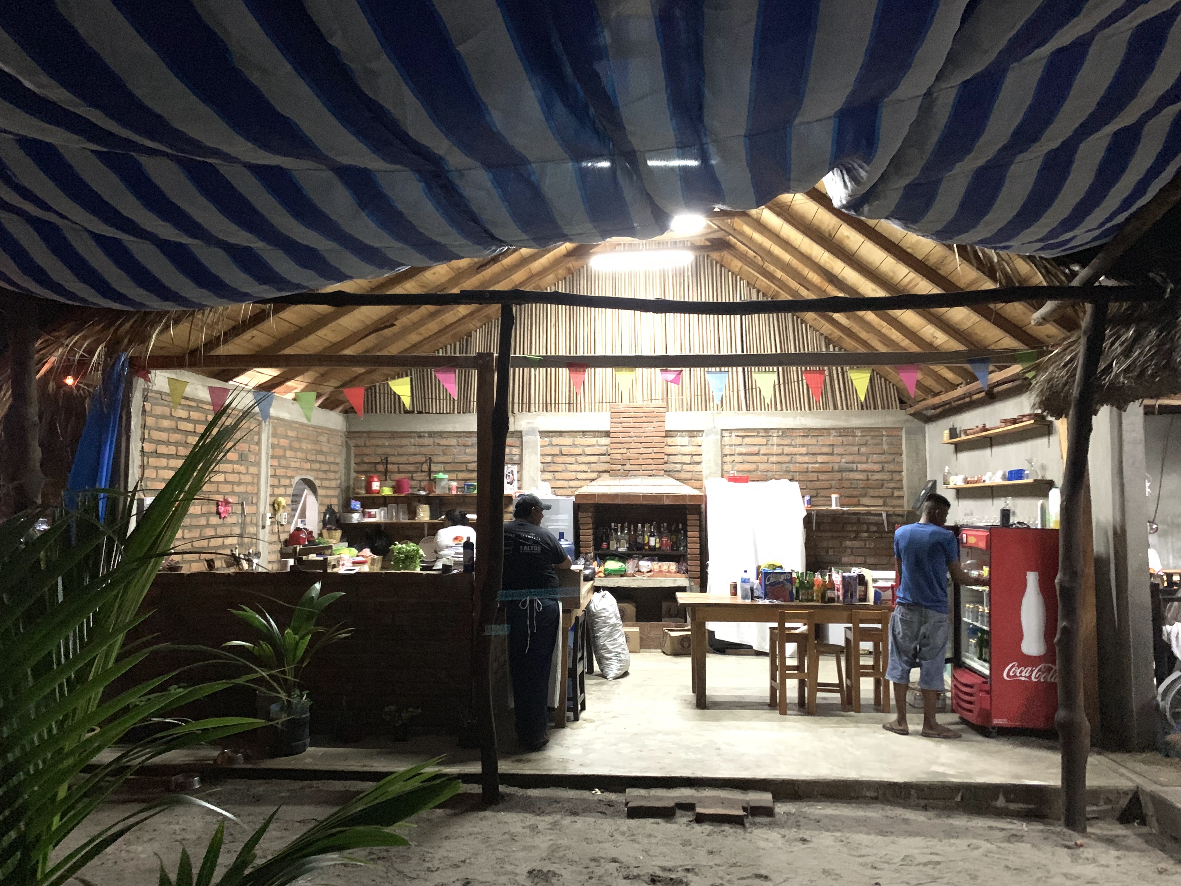 Turtle House image 1