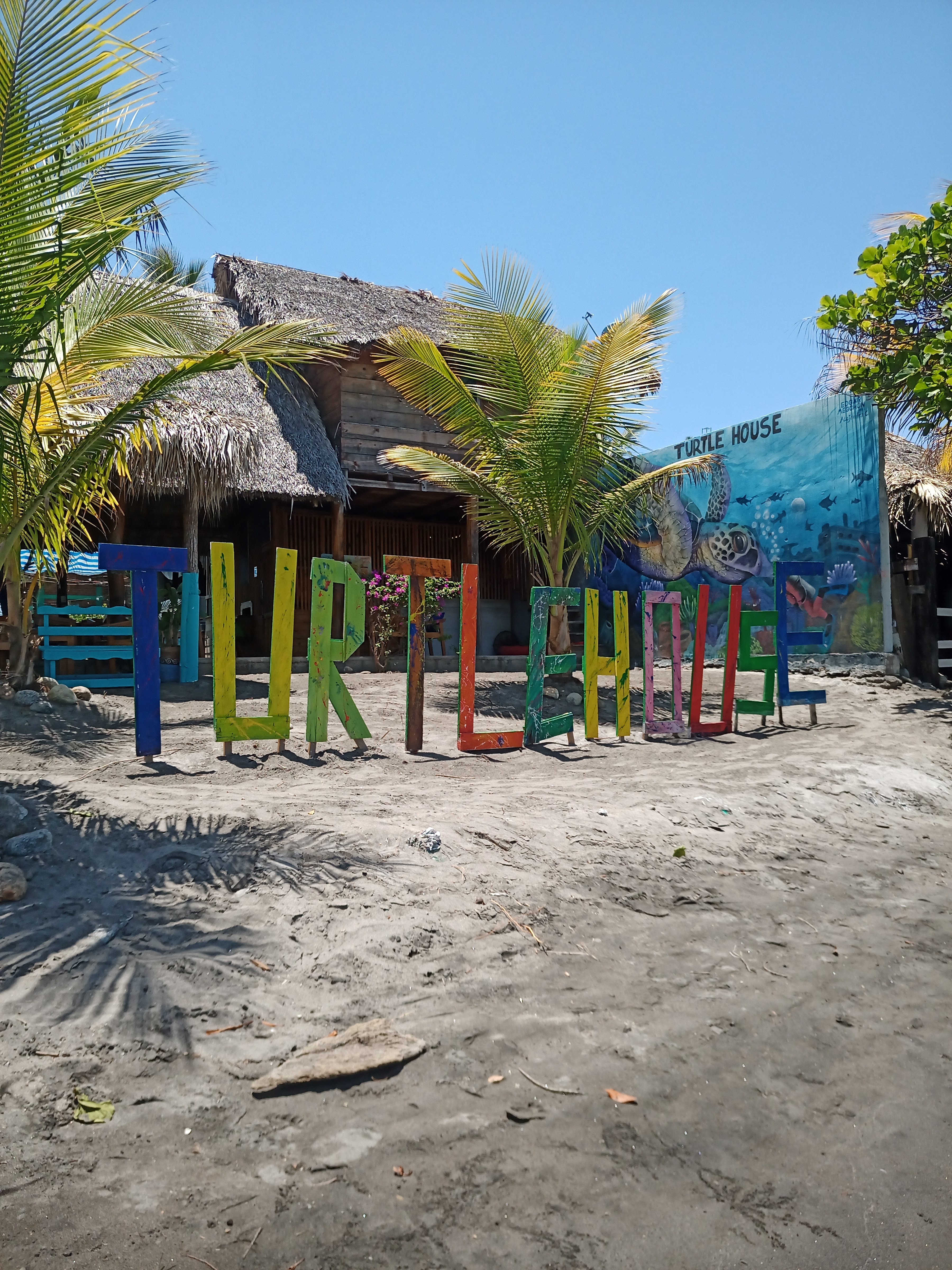 Turtle House image 4