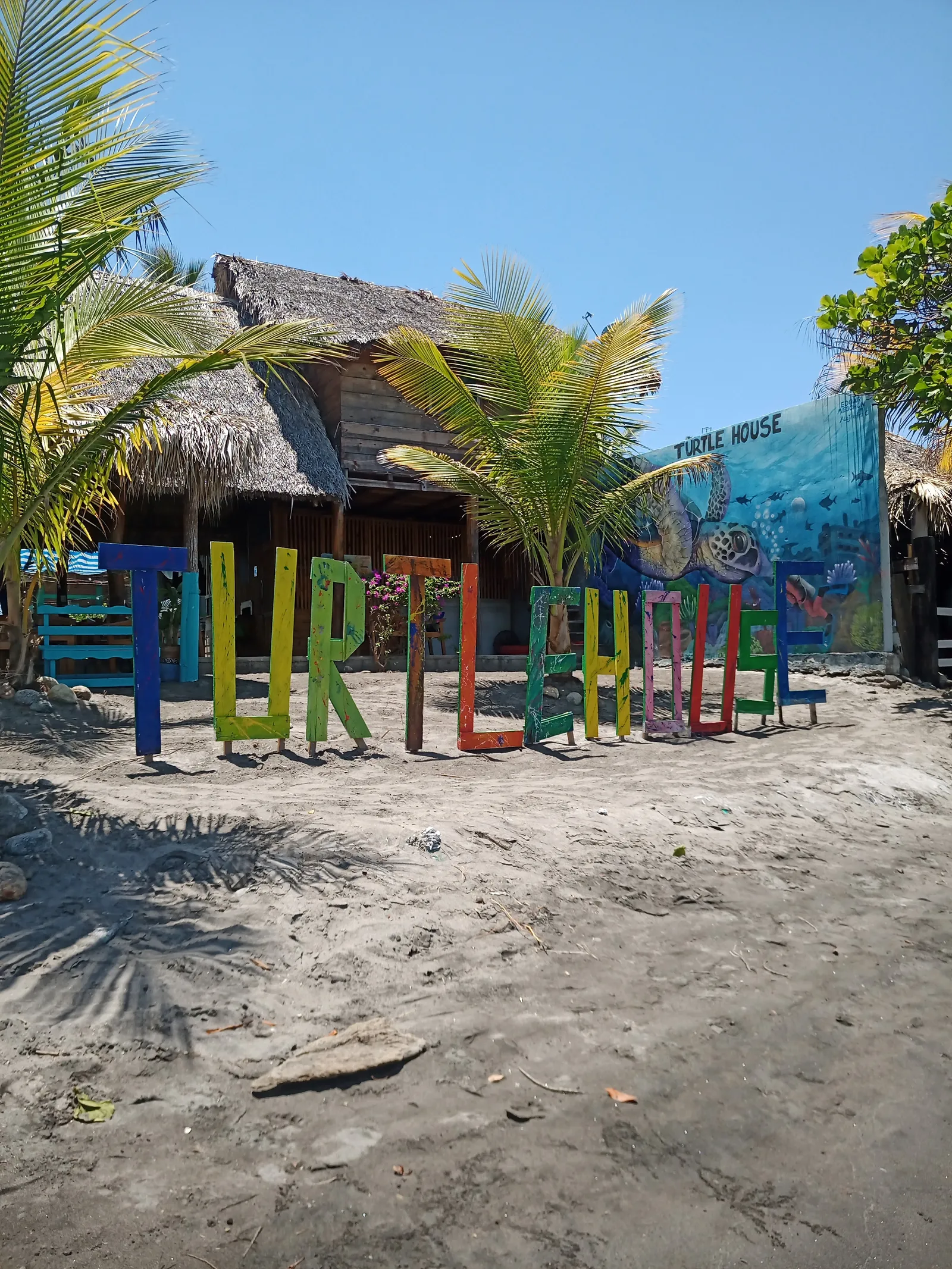 Turtle House image 4