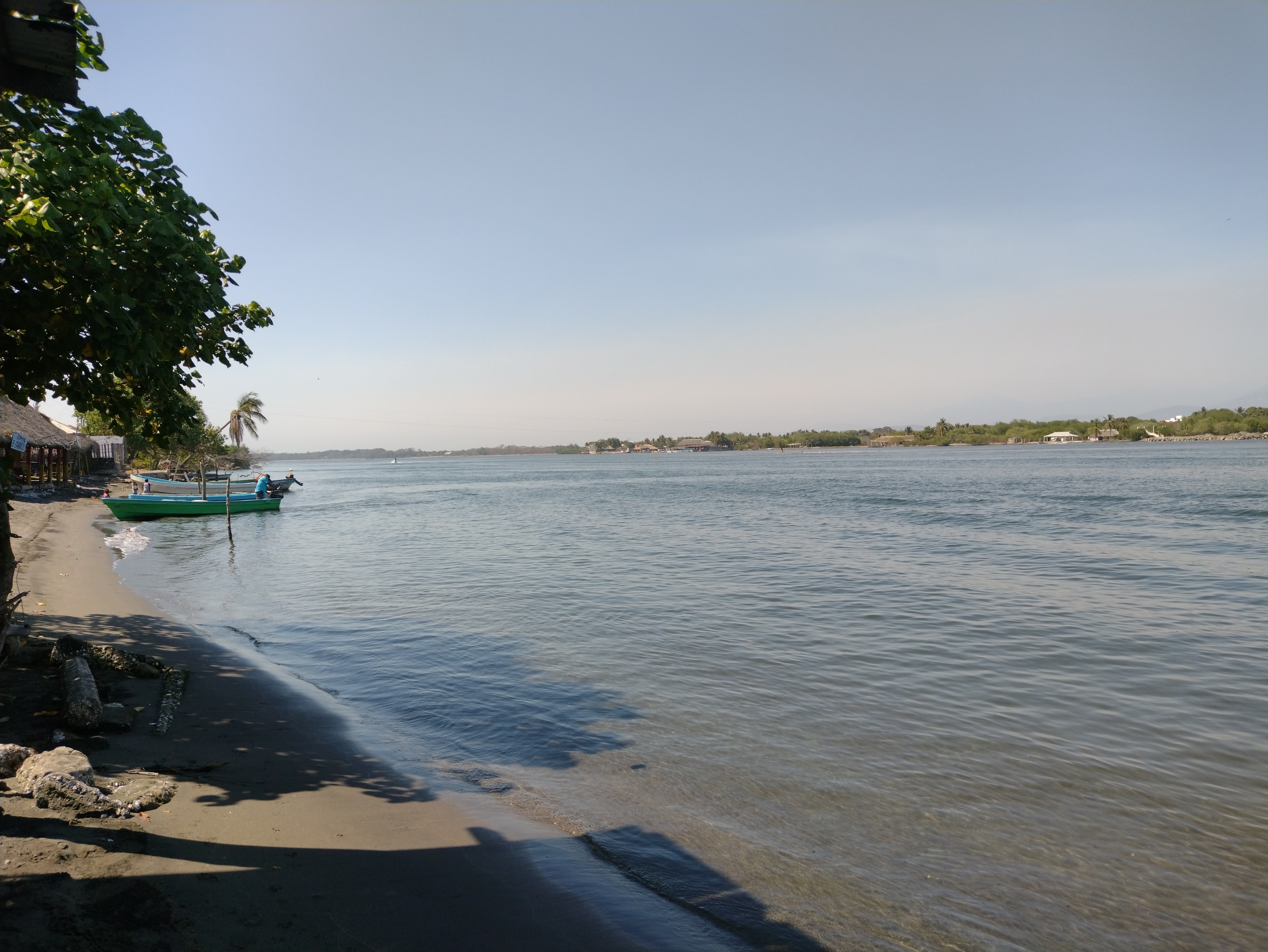 Turtle House image 5