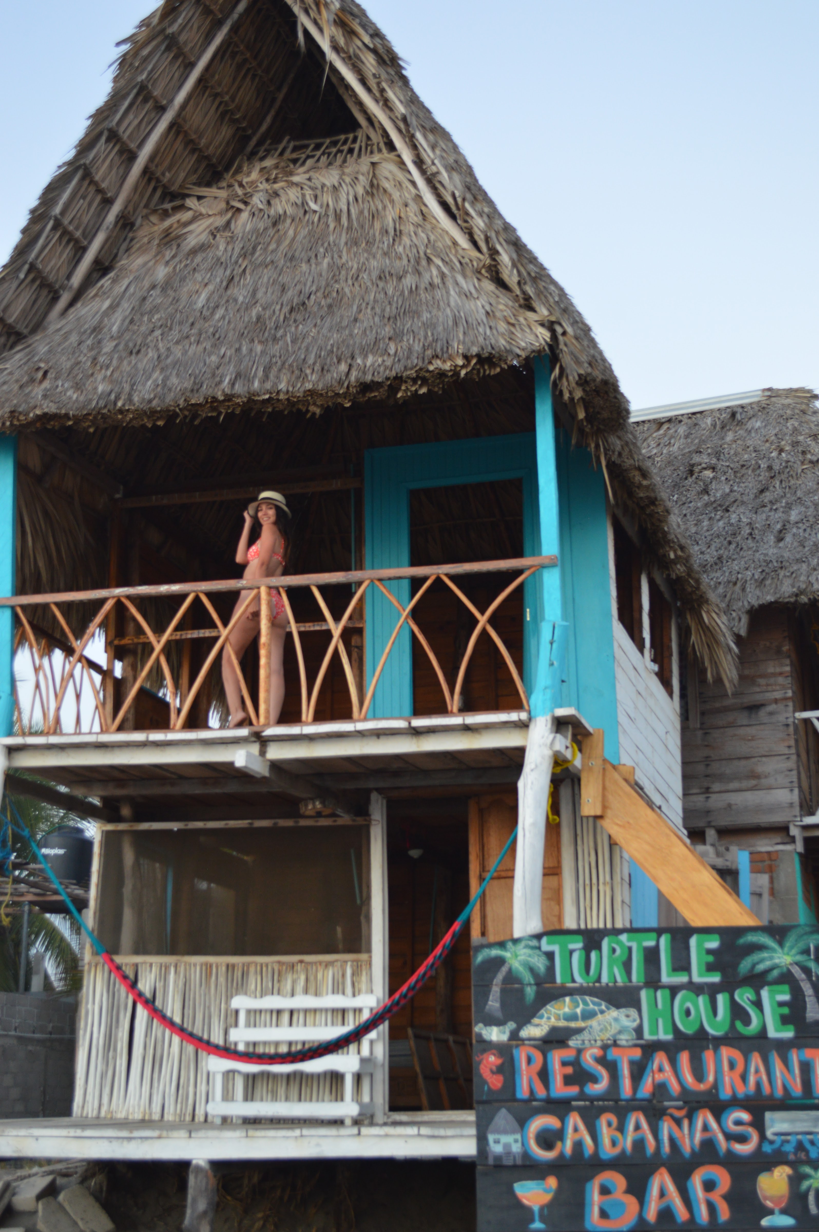 Turtle House image 6