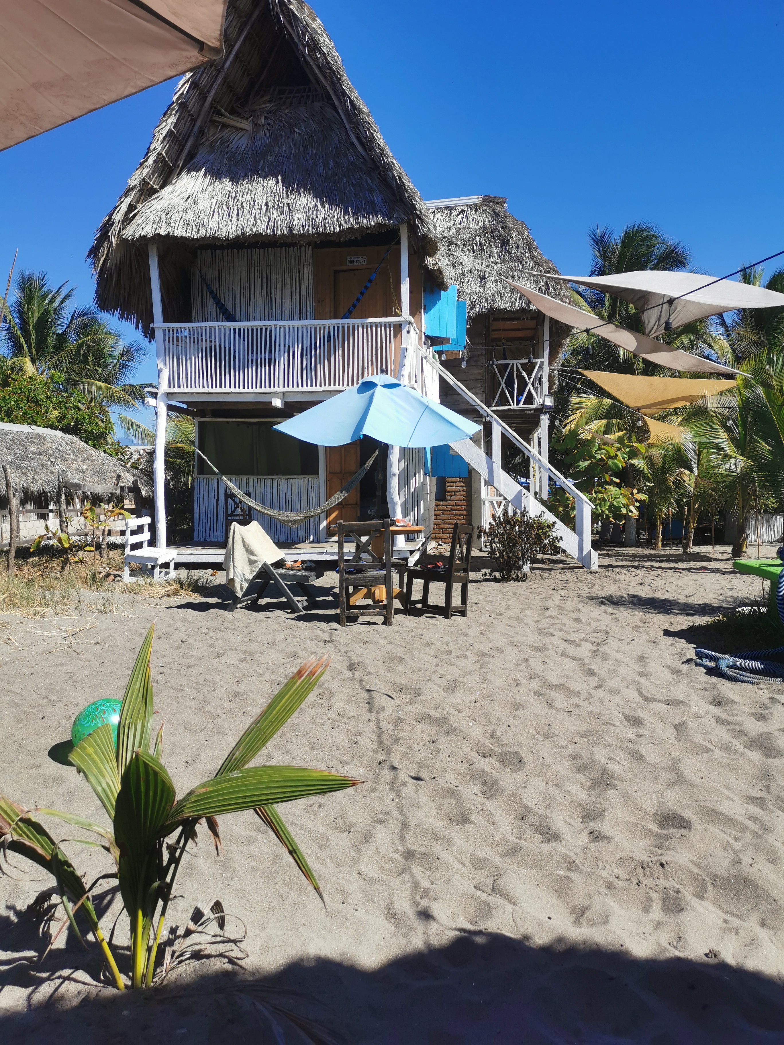 Turtle House image 7