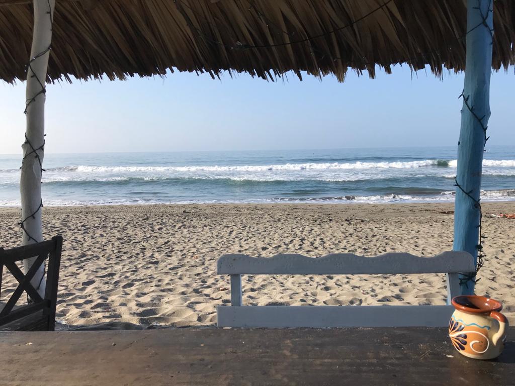 Turtle House image 8