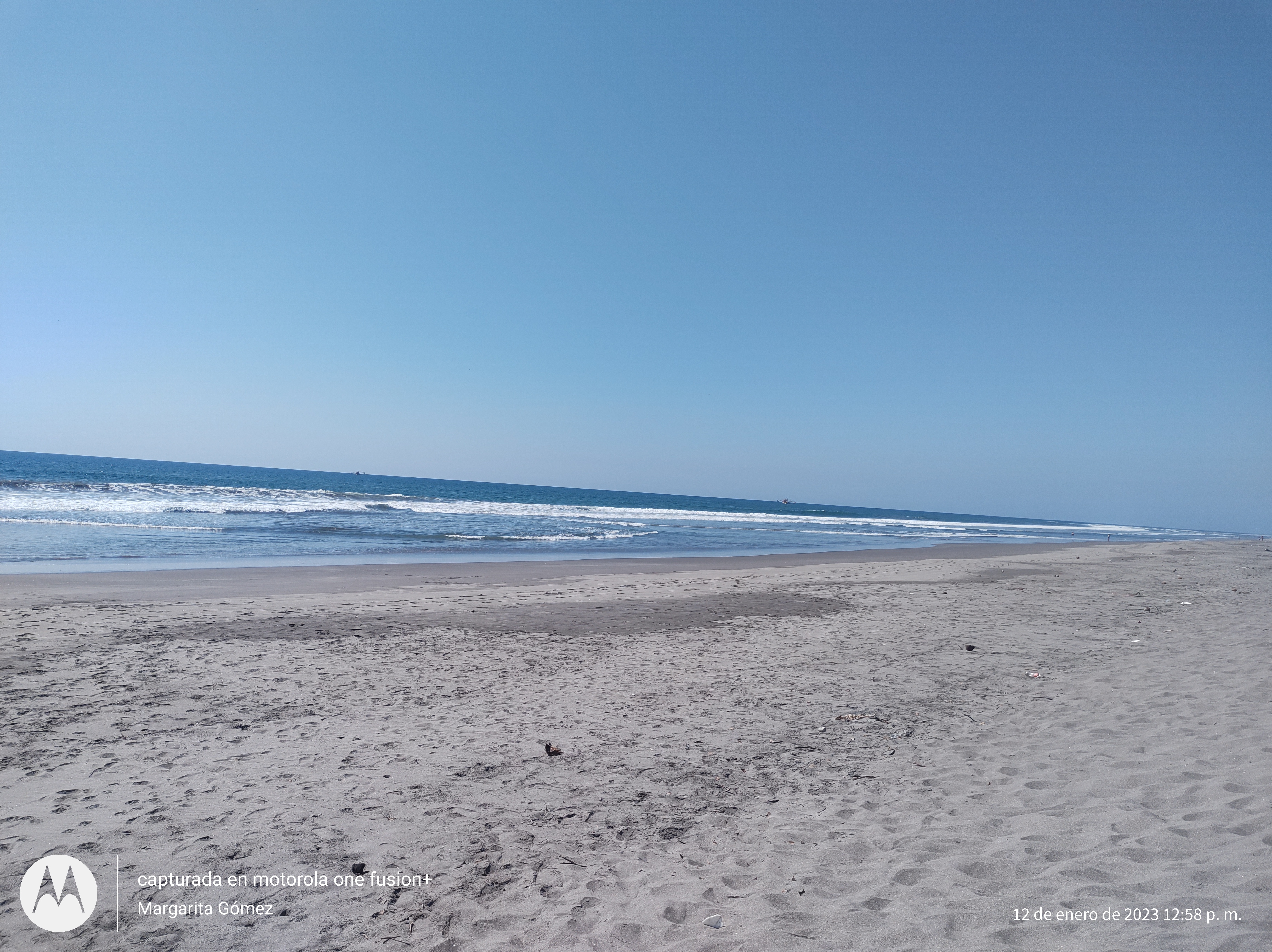 Turtle House image 9