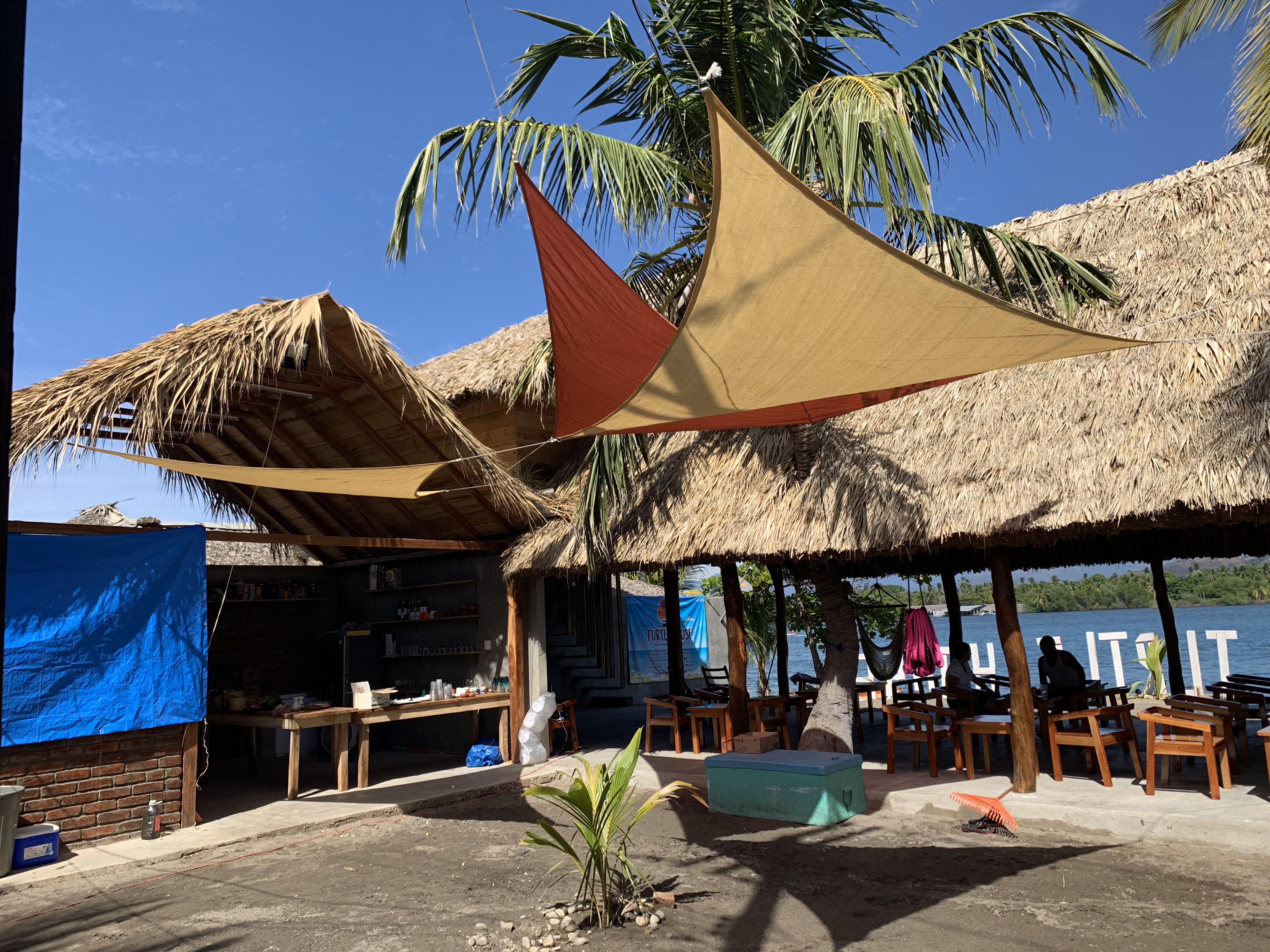 Turtle House image 10