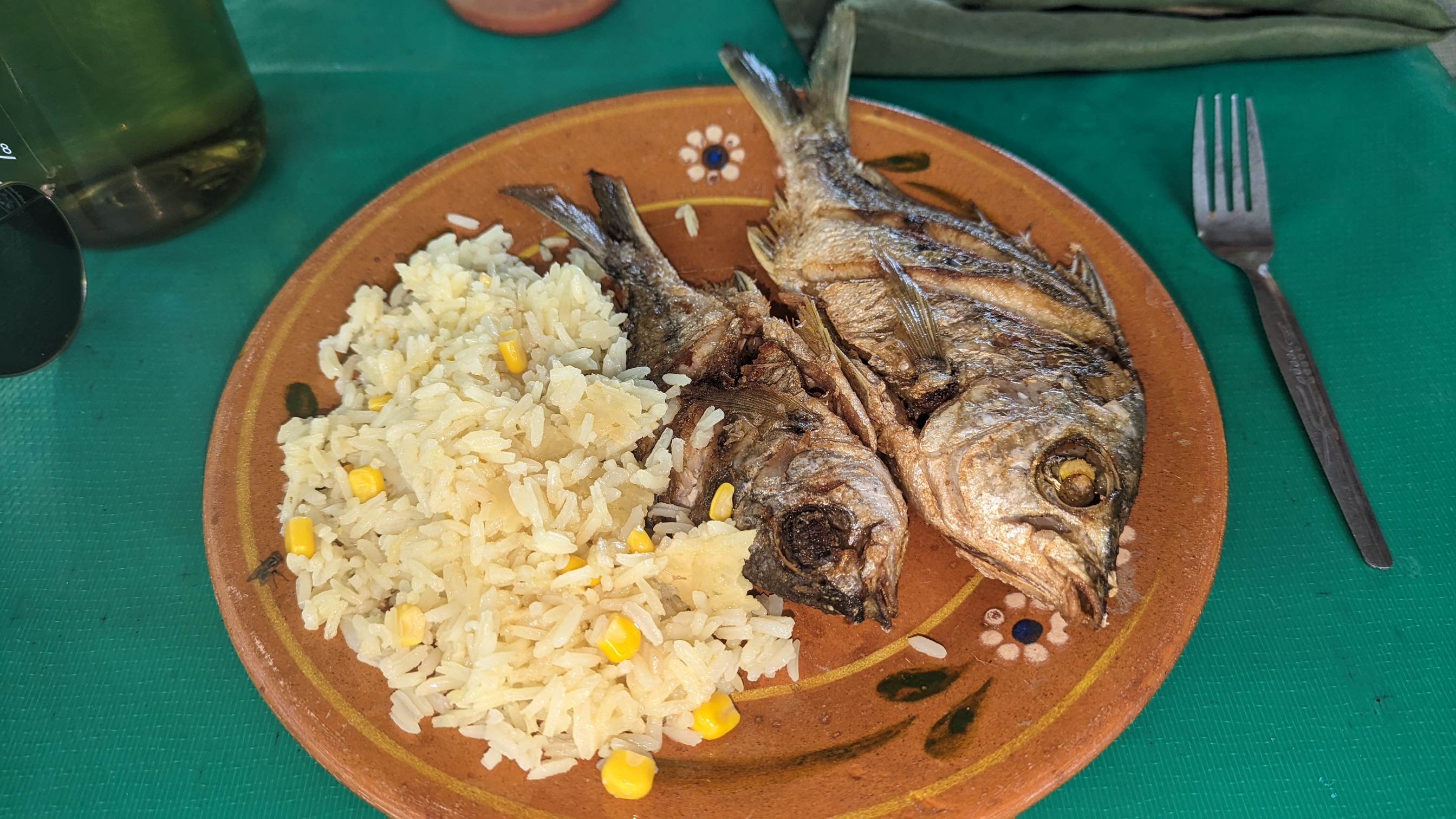 Cooperativa El Paraiso image 2