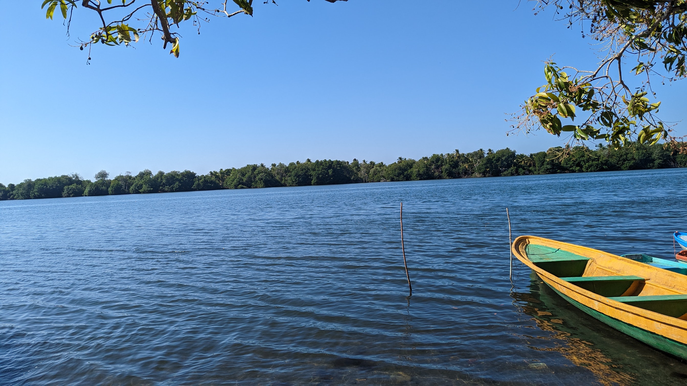 Cooperativa El Paraiso image 3