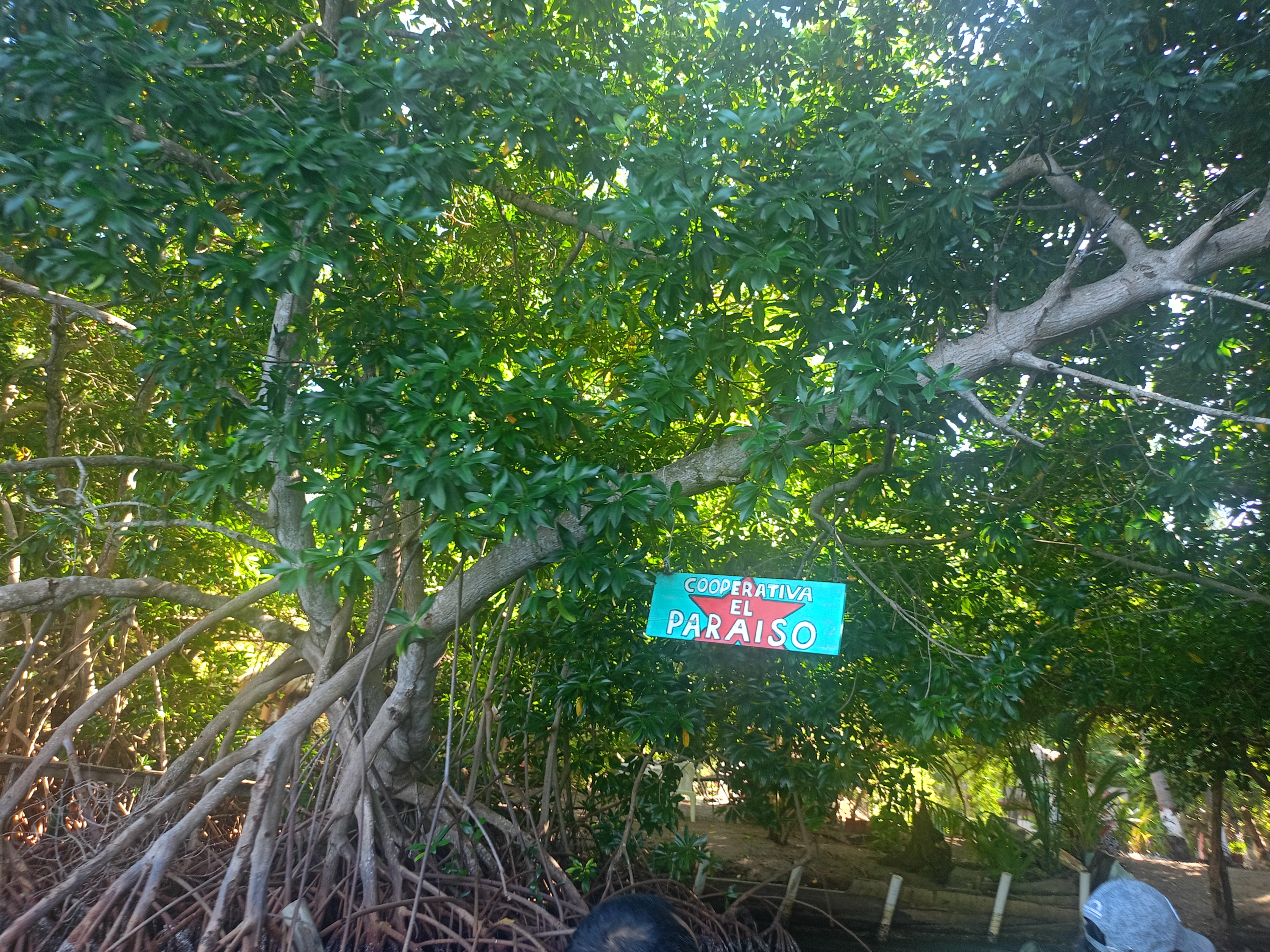 Cooperativa El Paraiso image 4