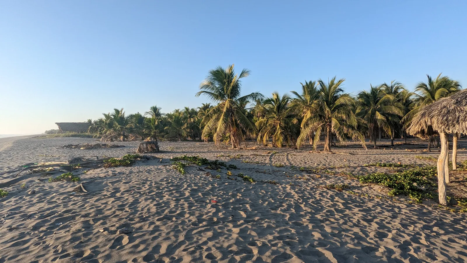 Cooperativa El Paraiso image 5