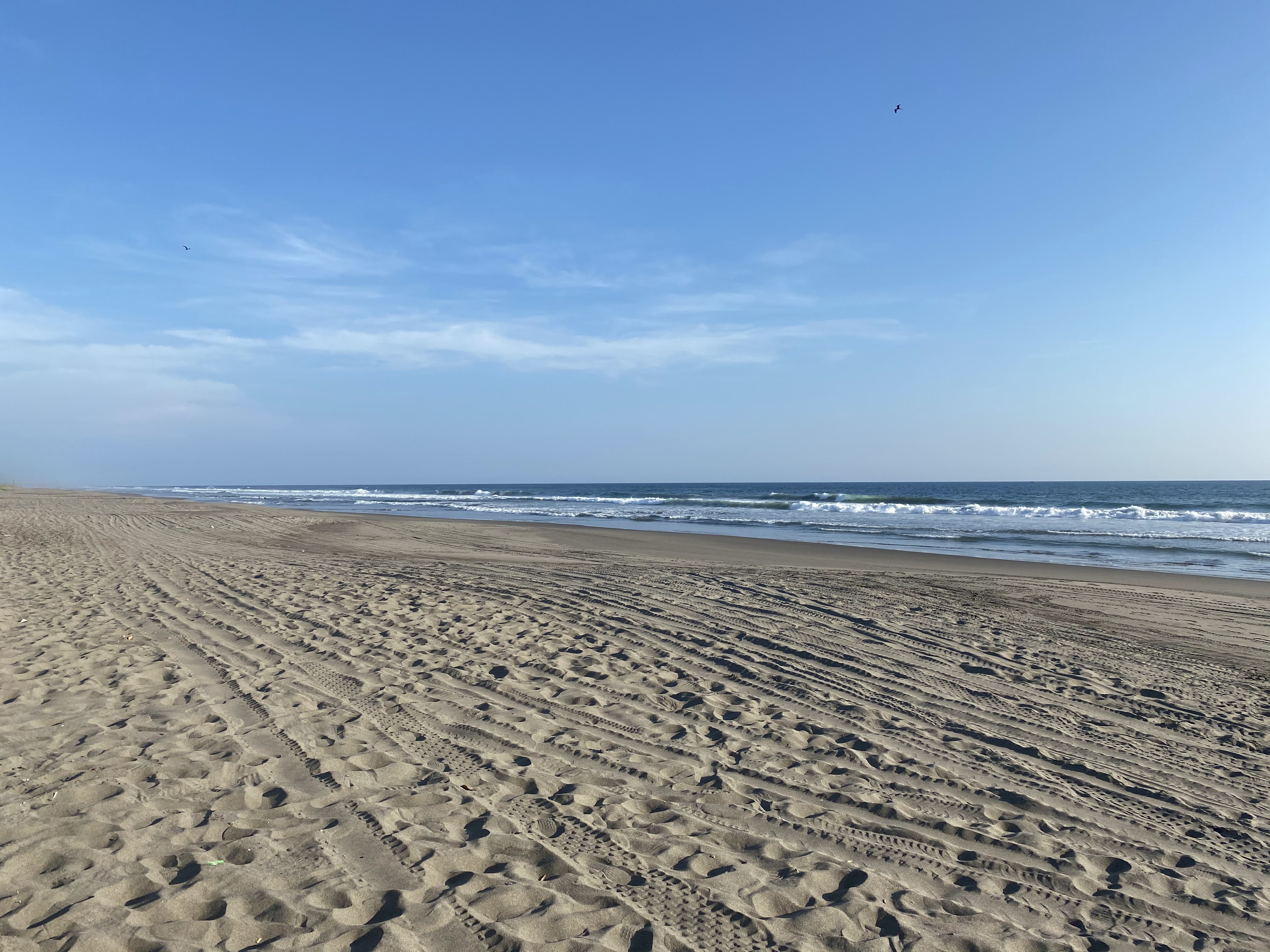 Restaurante "Palma Real" de Kevin image 4