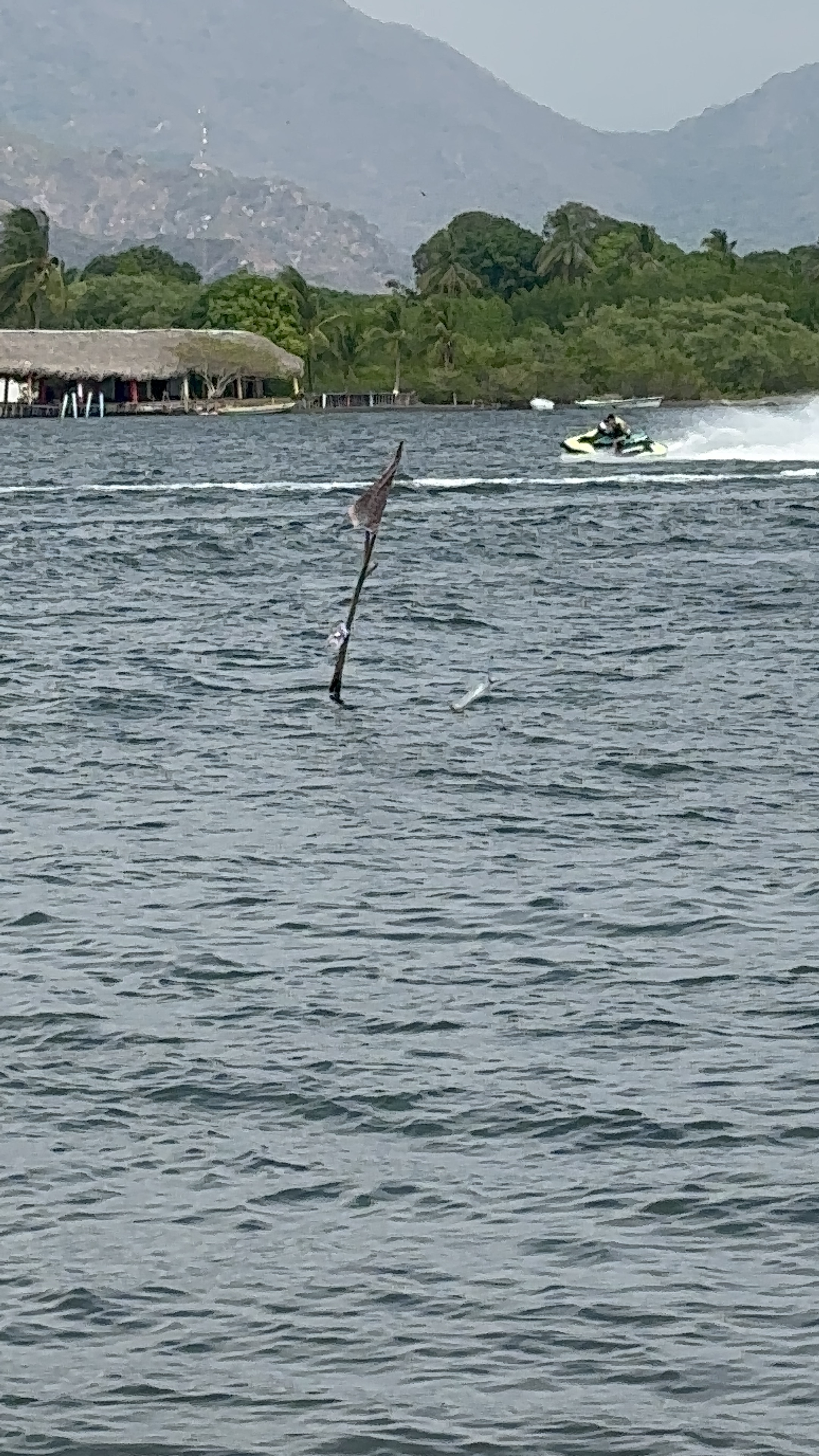 Restaurant "ivana" image 1