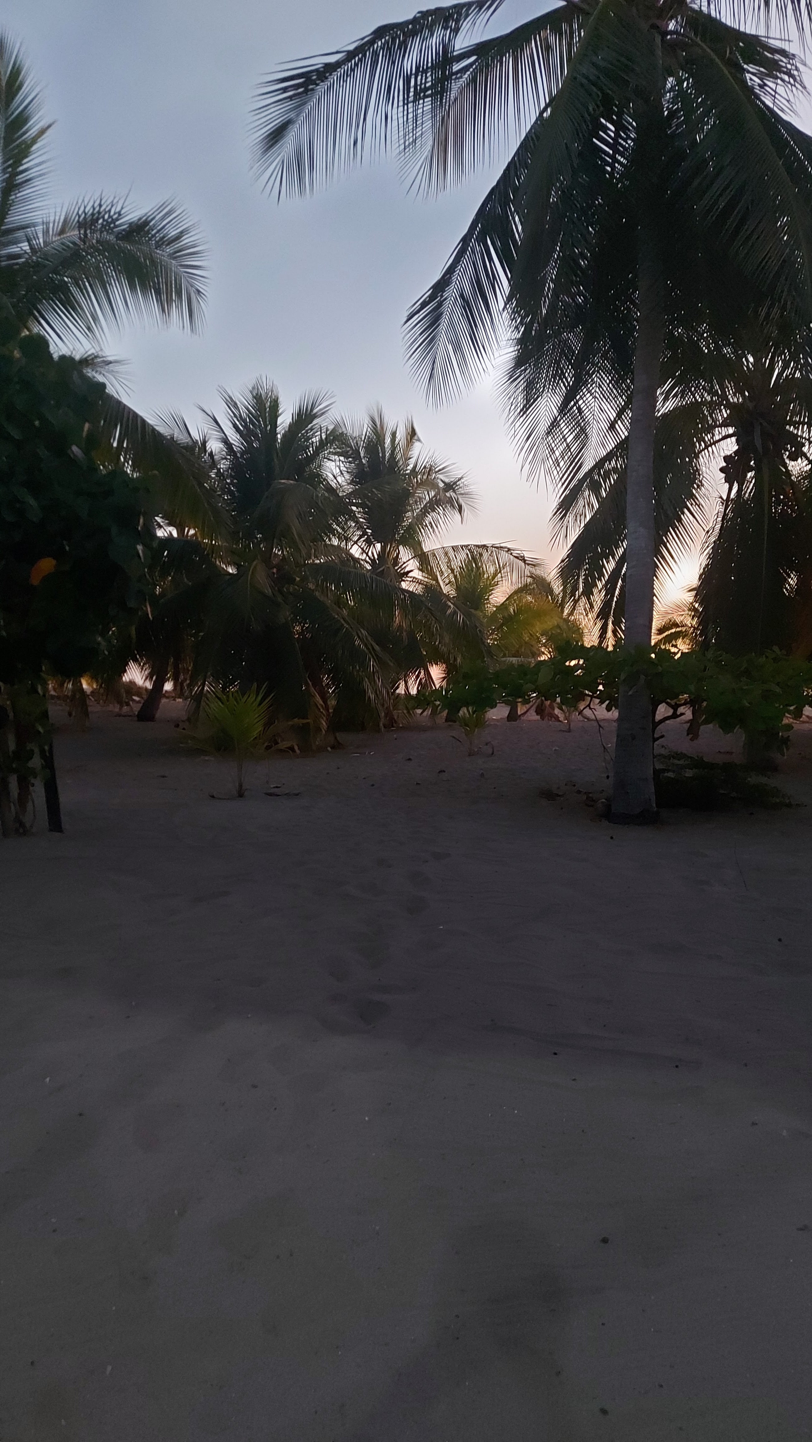 Restaurant Paty (la lagartona) image 3