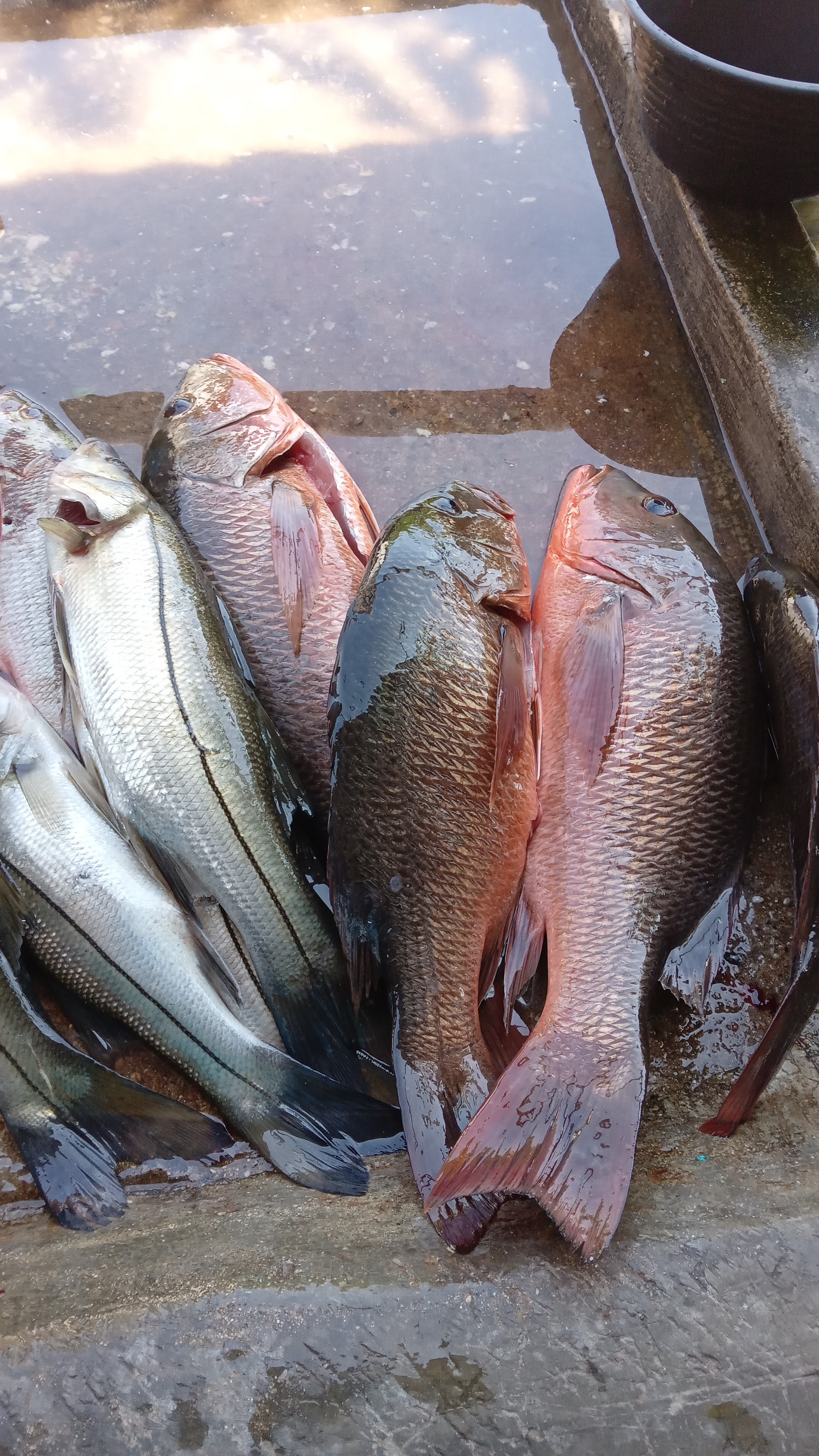 Restaurant Paty (la lagartona) image 6