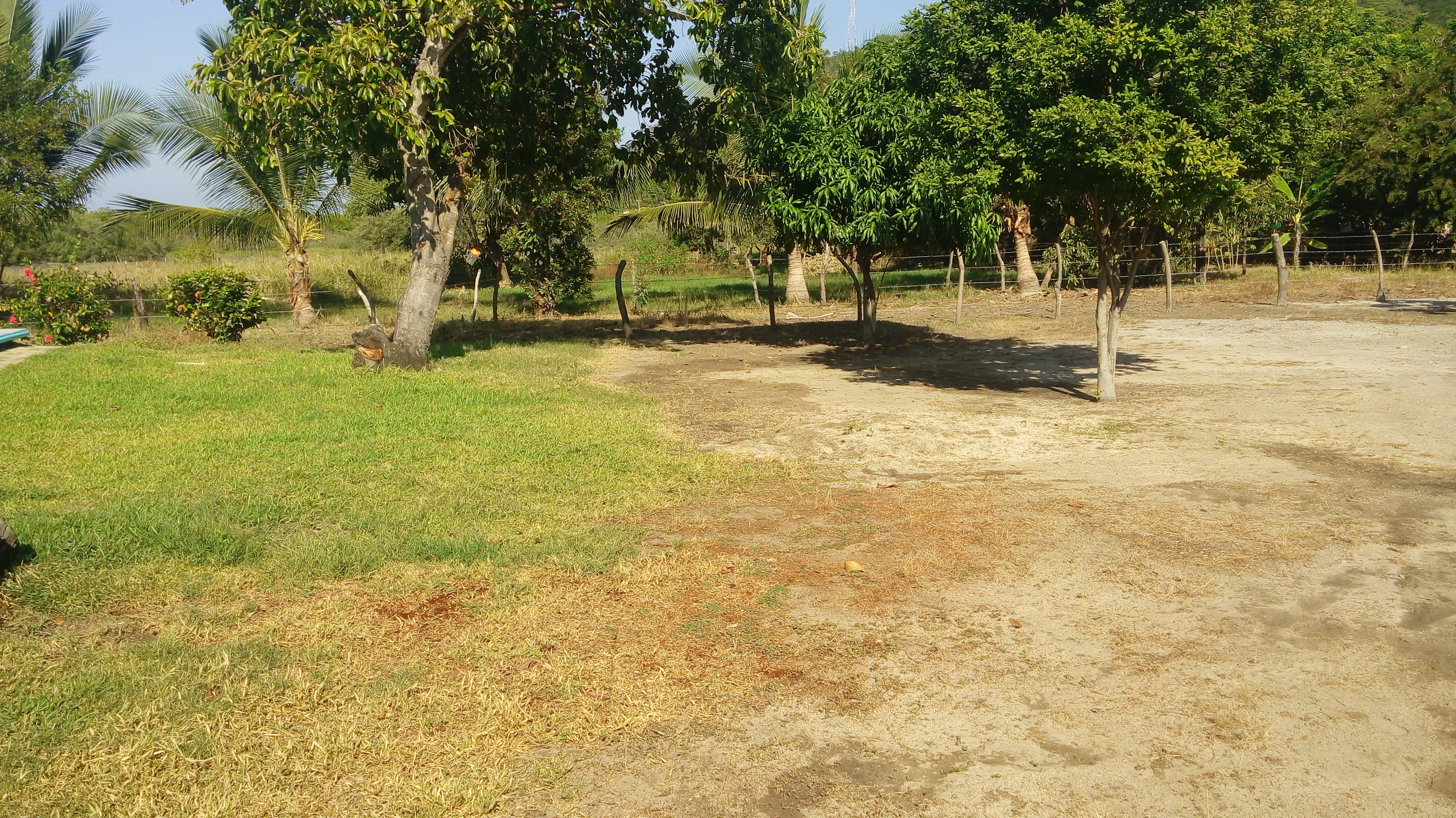 Alberca Y Chapoteaderon PARAISO DEL SOL image 4